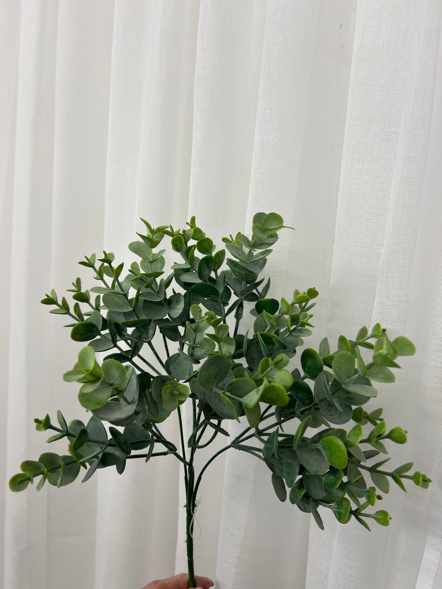 Leaf Spray Stems