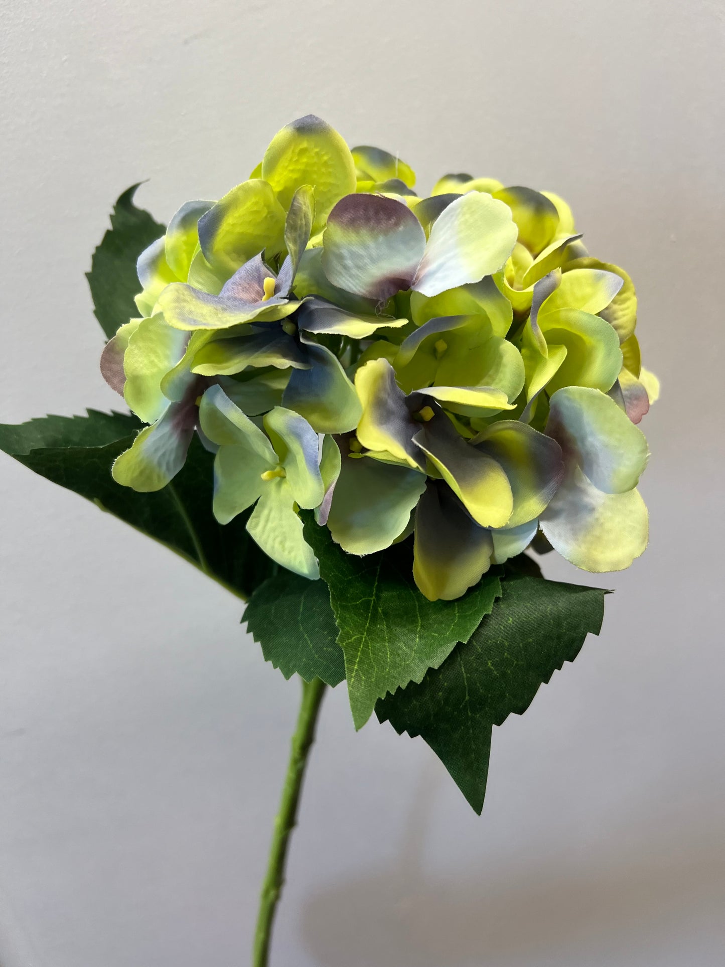 51cm Single Large Hydrangea Green