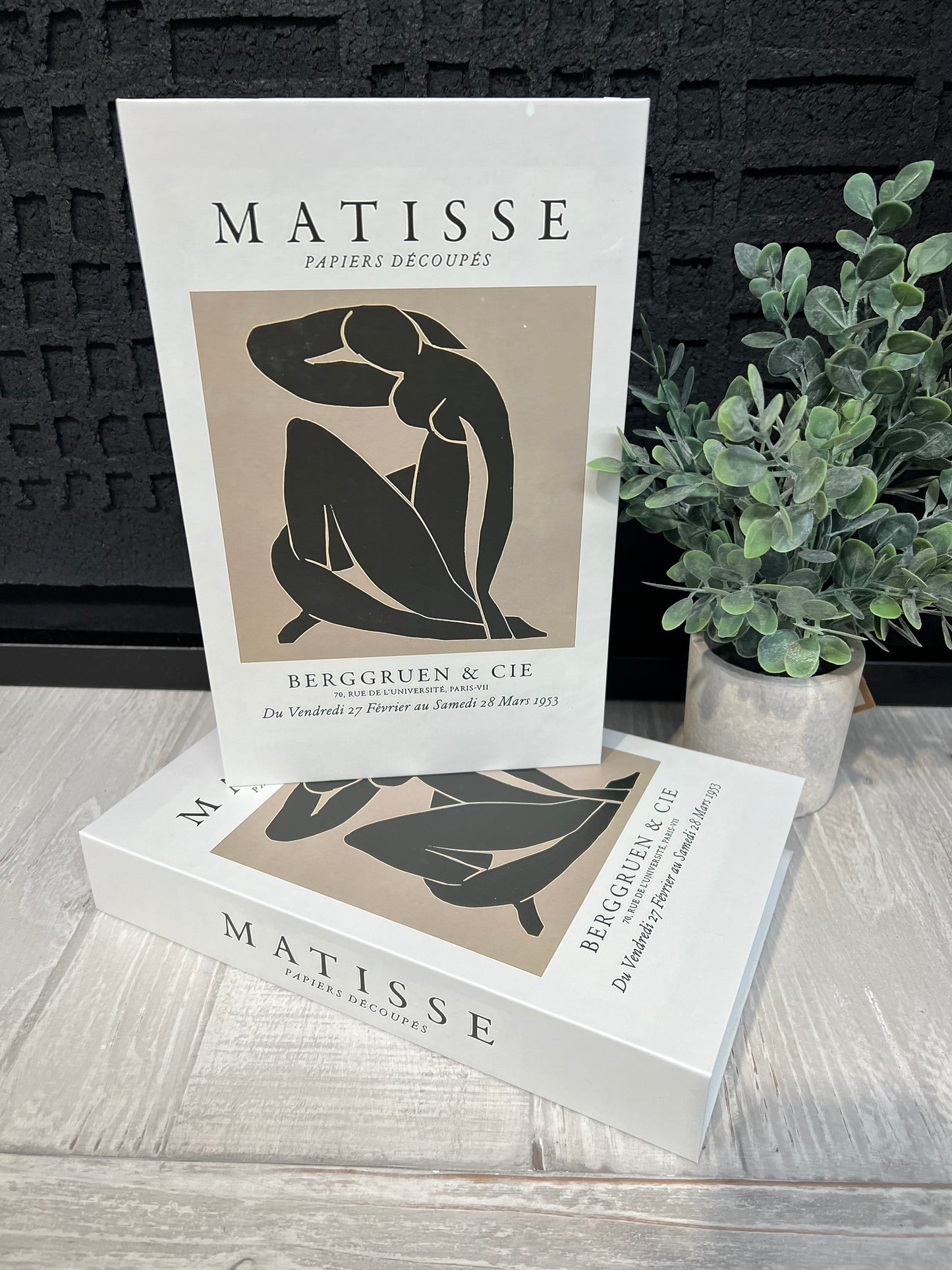 Matisse Storage Book