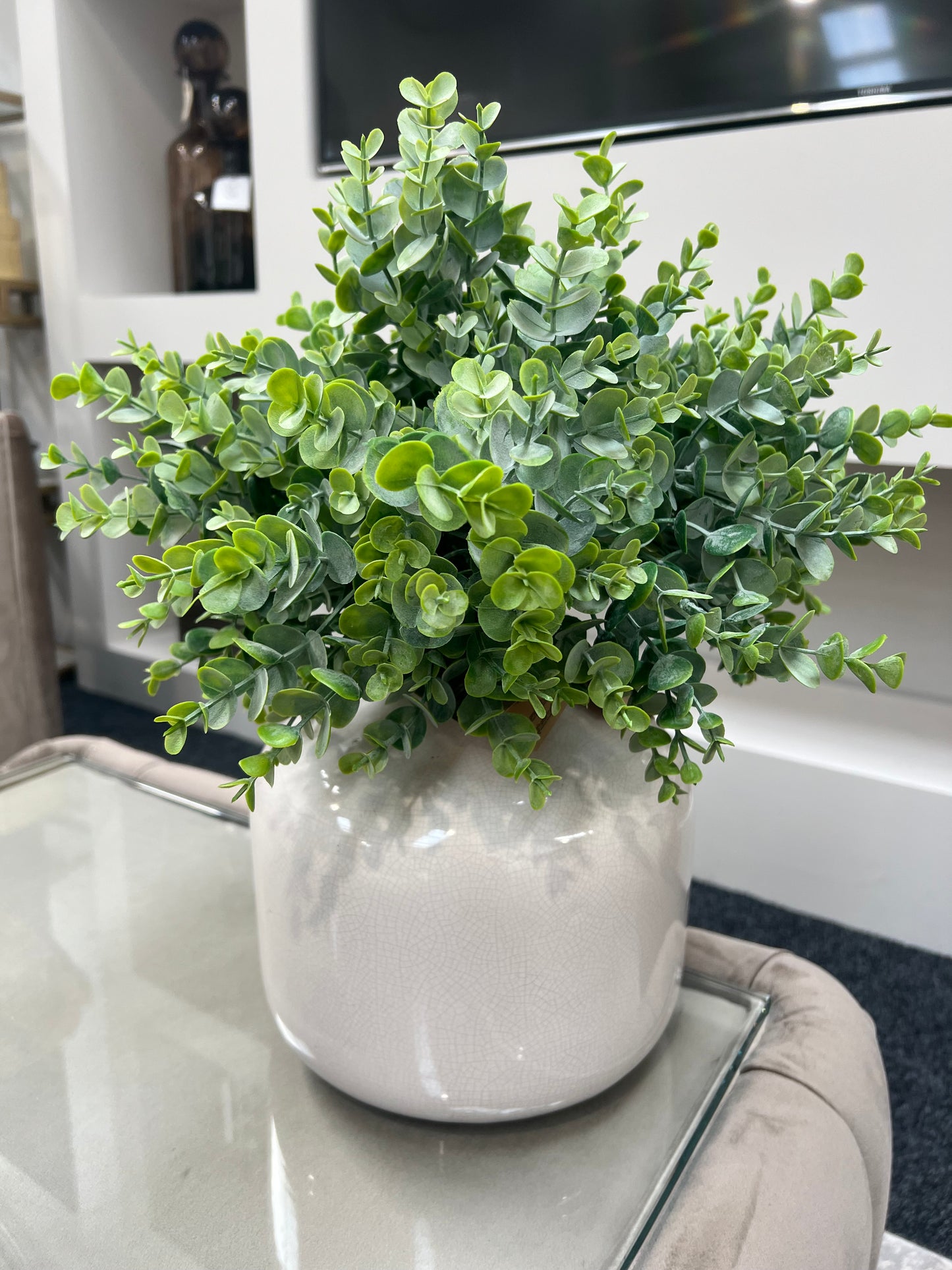 Leaf Spray Stems