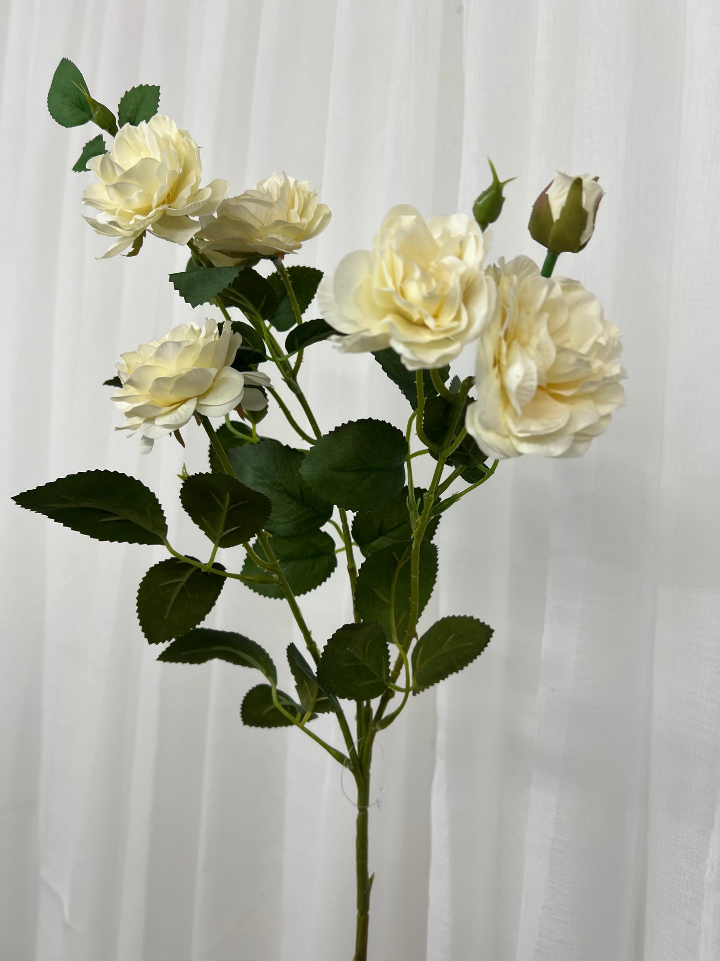 Soft White Cottage Rose Stem