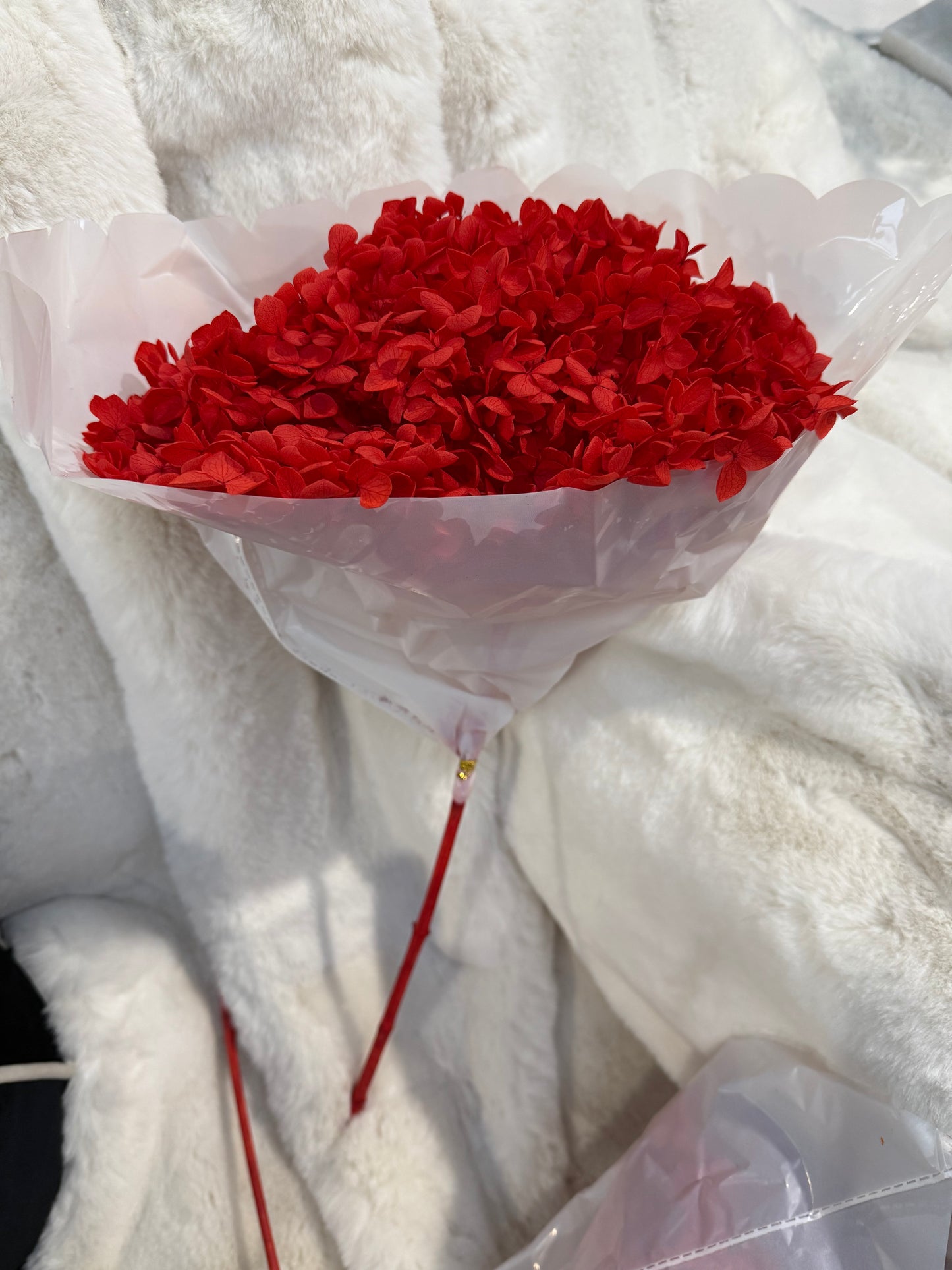 Preserved Dried Natural Hydrangeas