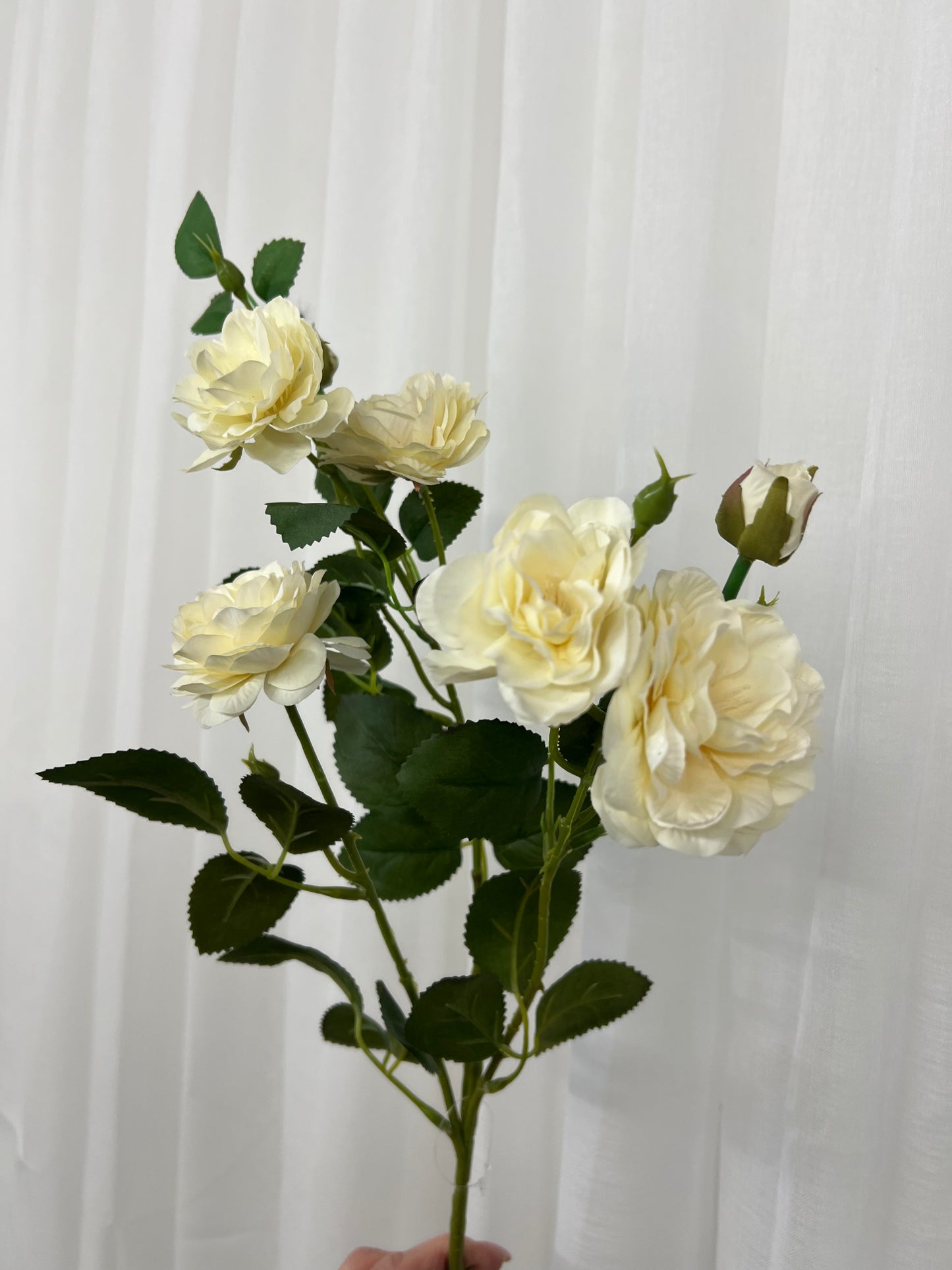 Soft White Cottage Rose Stem