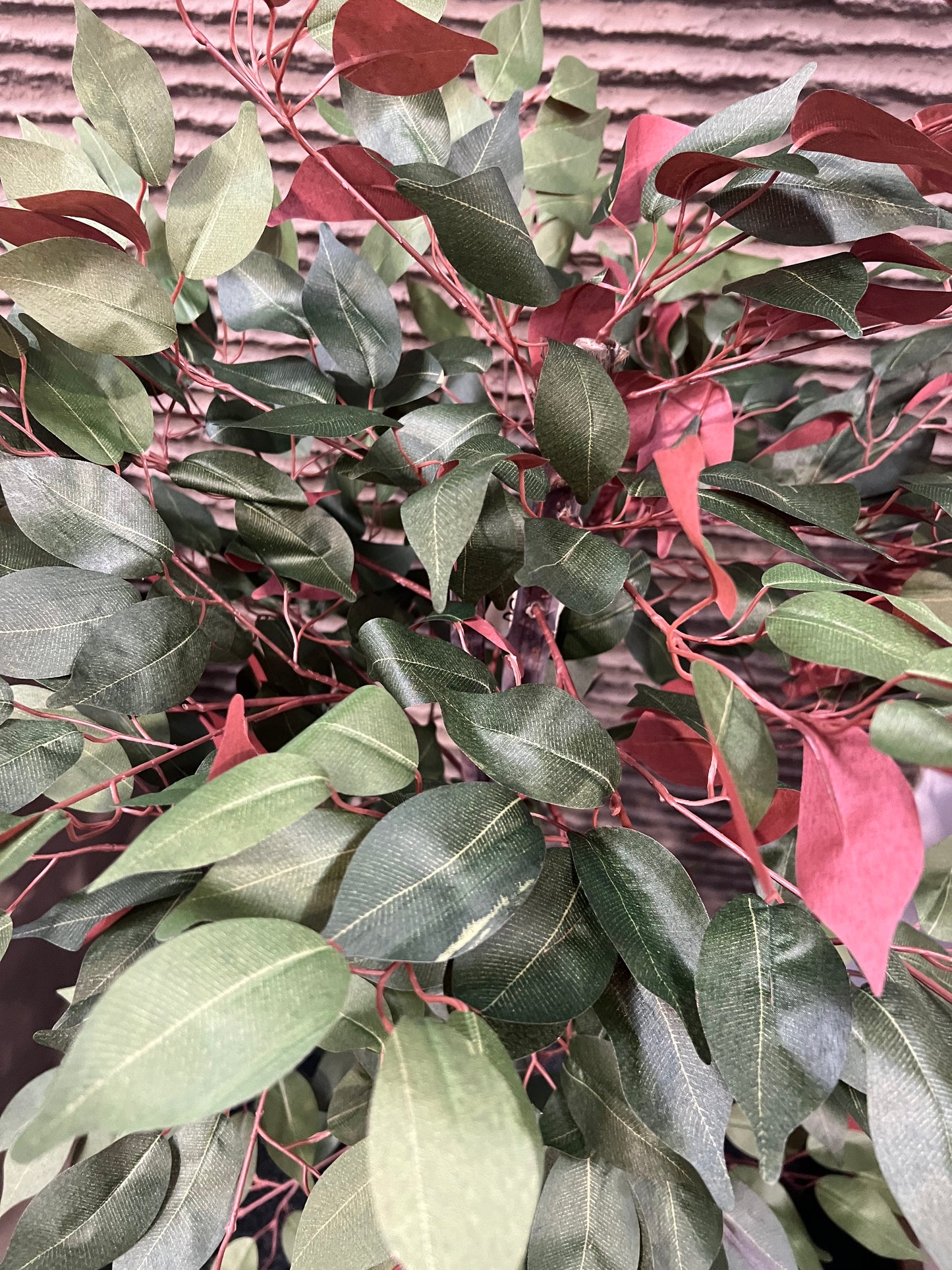 Red and Green Artificial Capensia Tree - 4ft