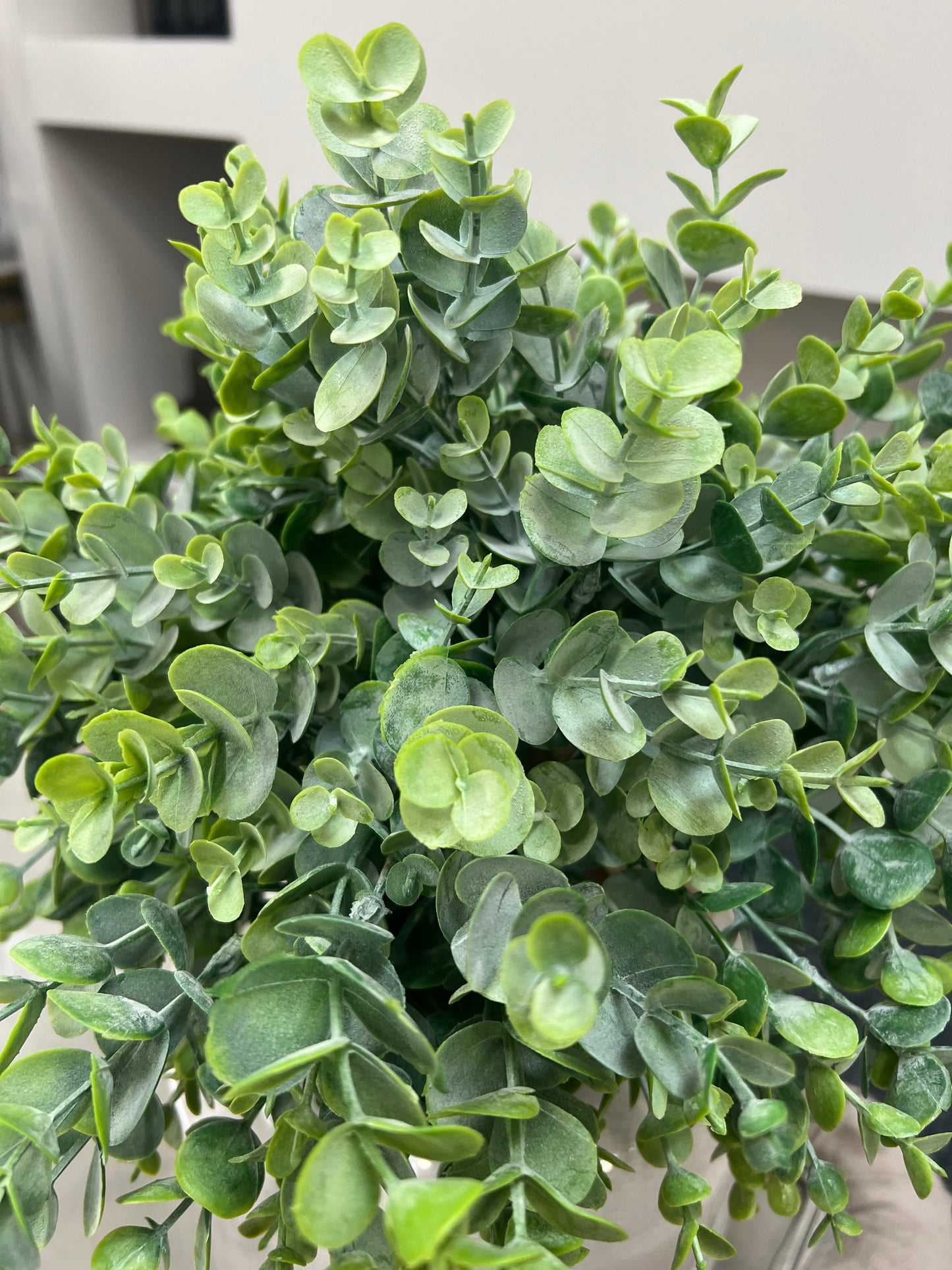 Leaf Spray Stems