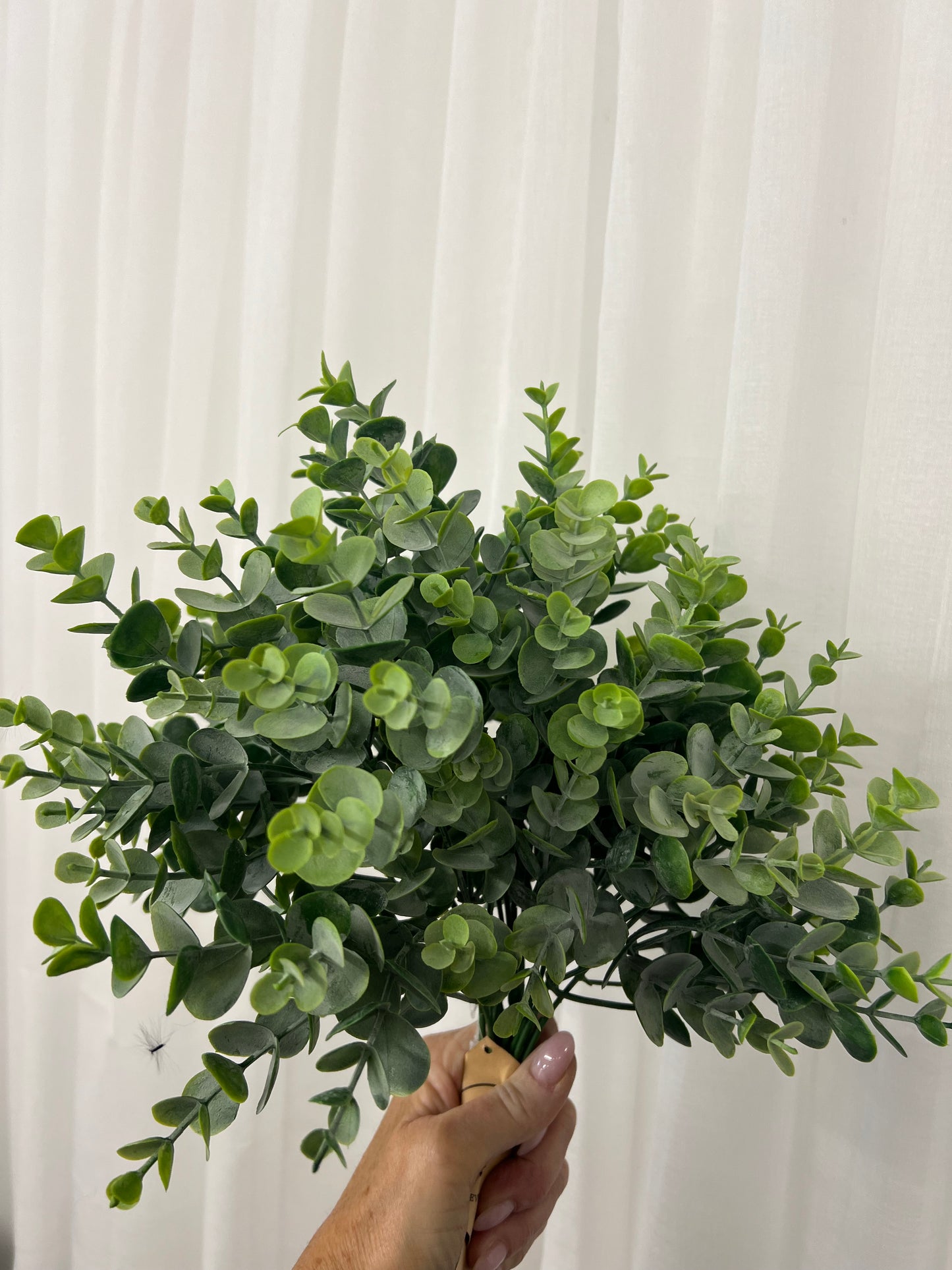 Leaf Spray Stems