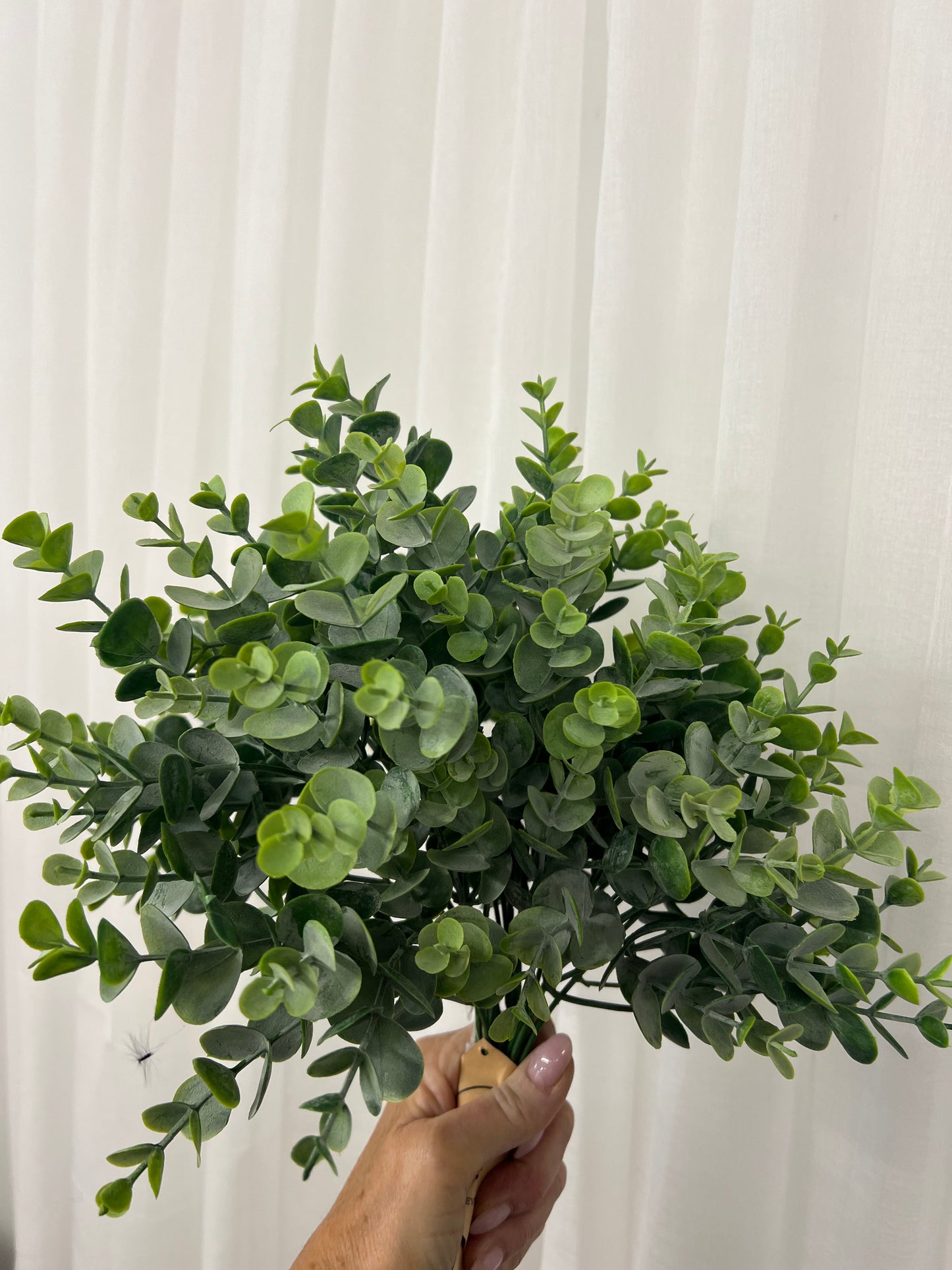 Leaf Spray Stems