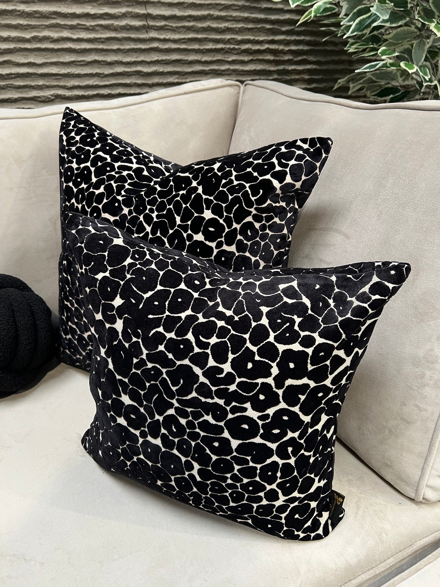 Paul Moneypenny Spoton Black Cushion