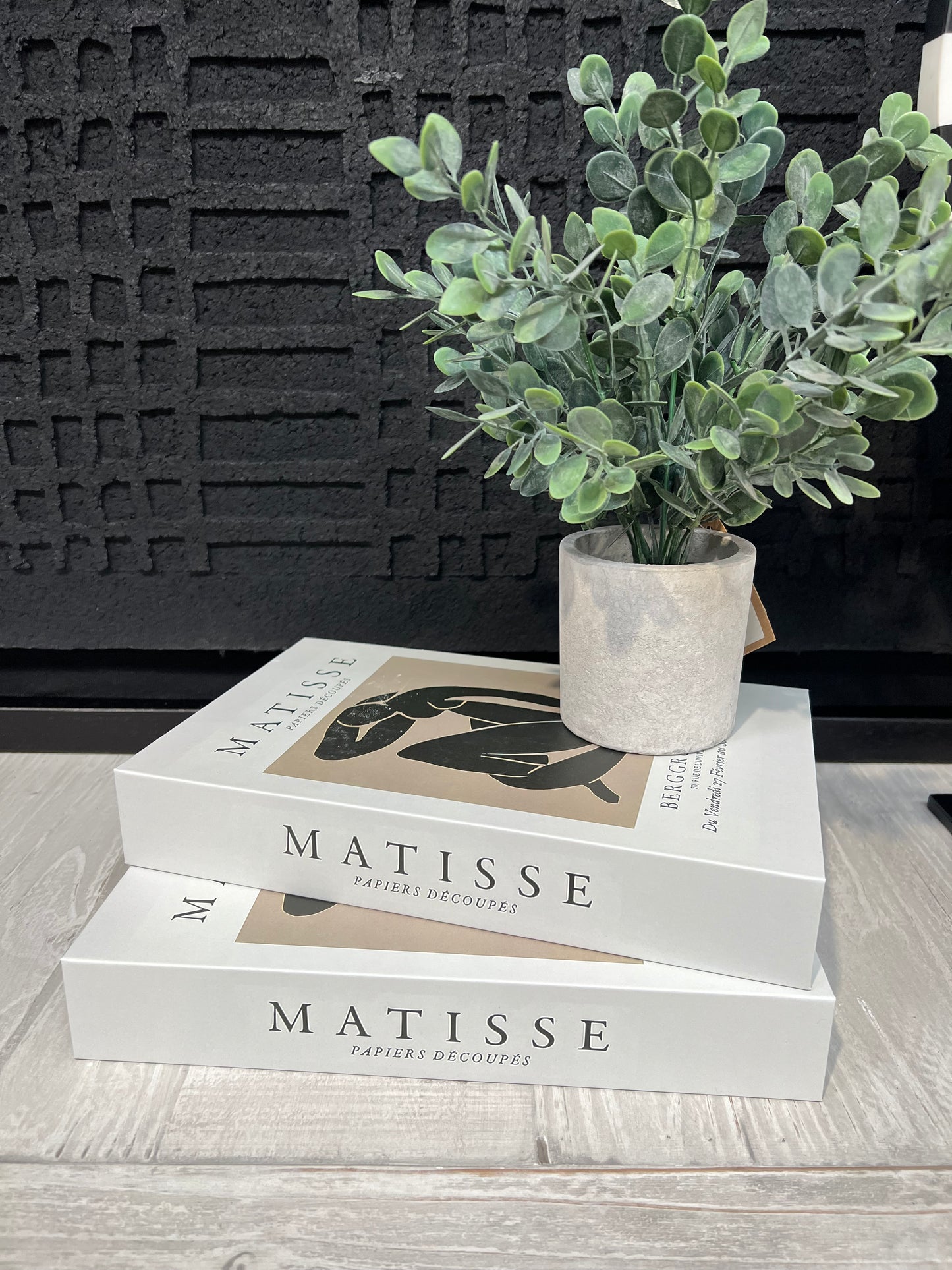 Matisse Storage Book