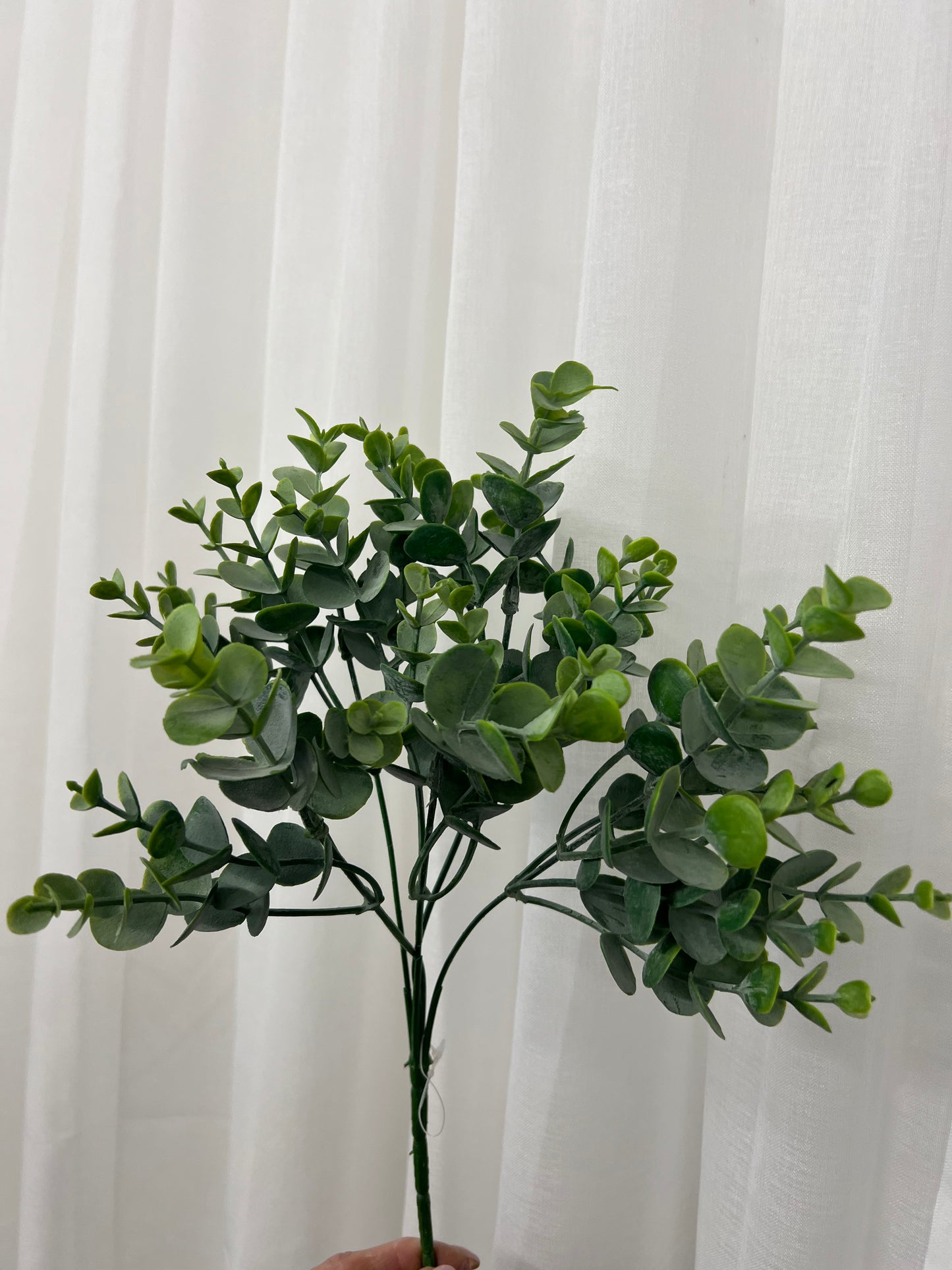Leaf Spray Stems