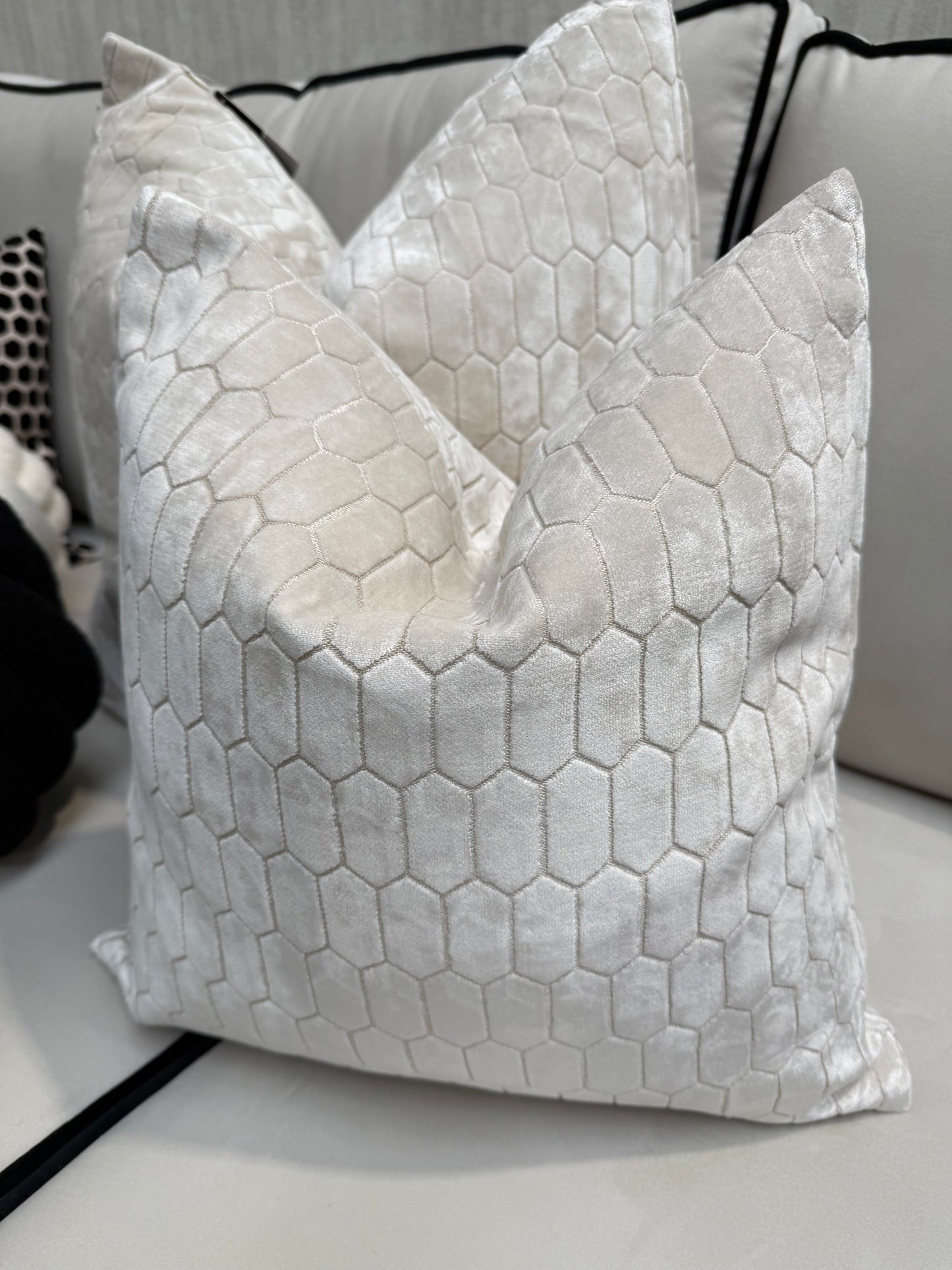 Paul Moneypenny Albie Ivory Cushion