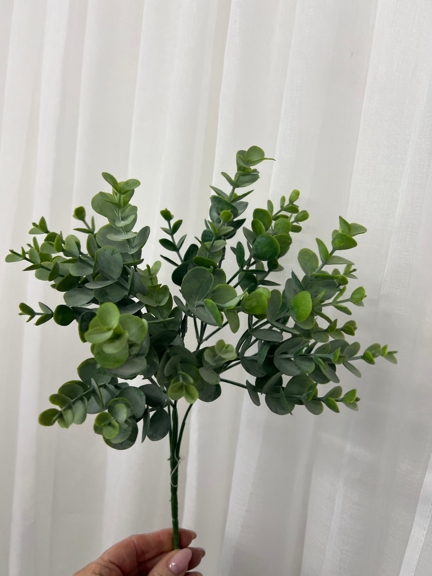Leaf Spray Stems