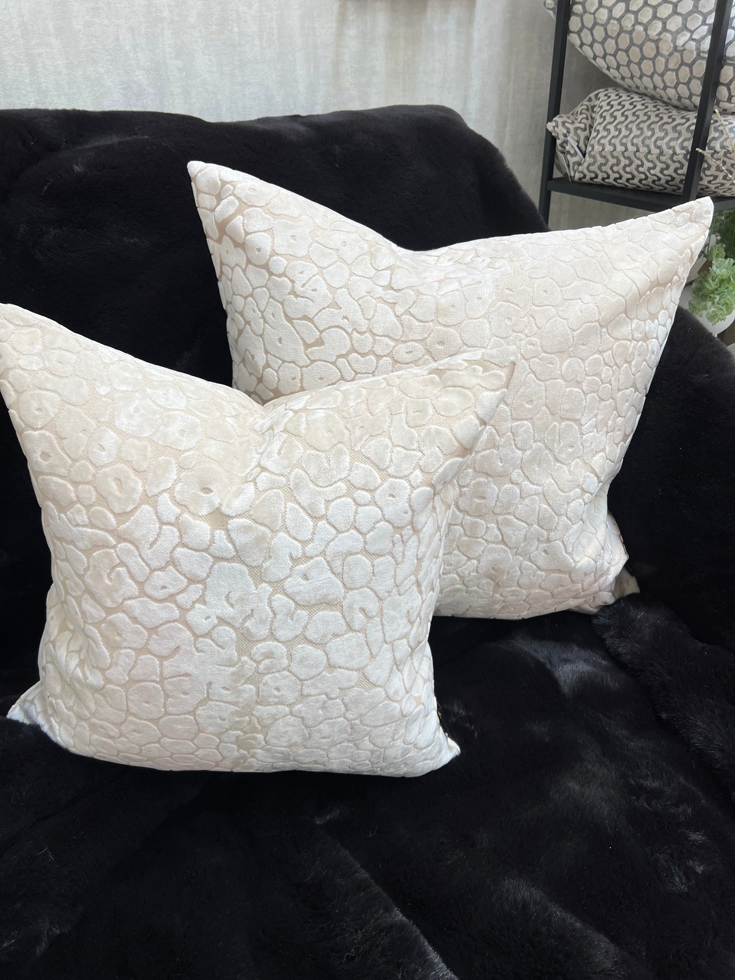 Paul Moneypenny Spoton Cream Cushion