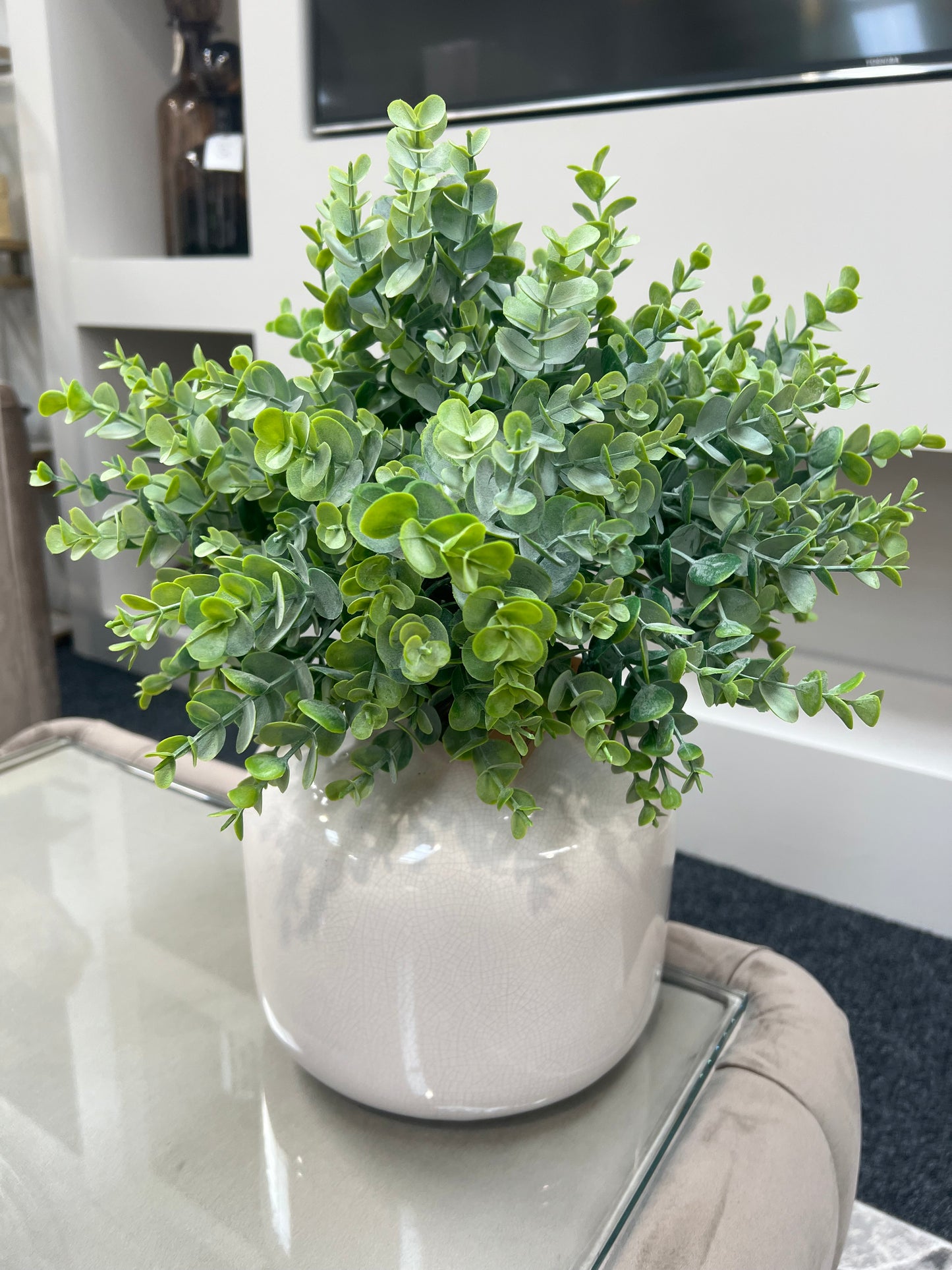 Leaf Spray Stems