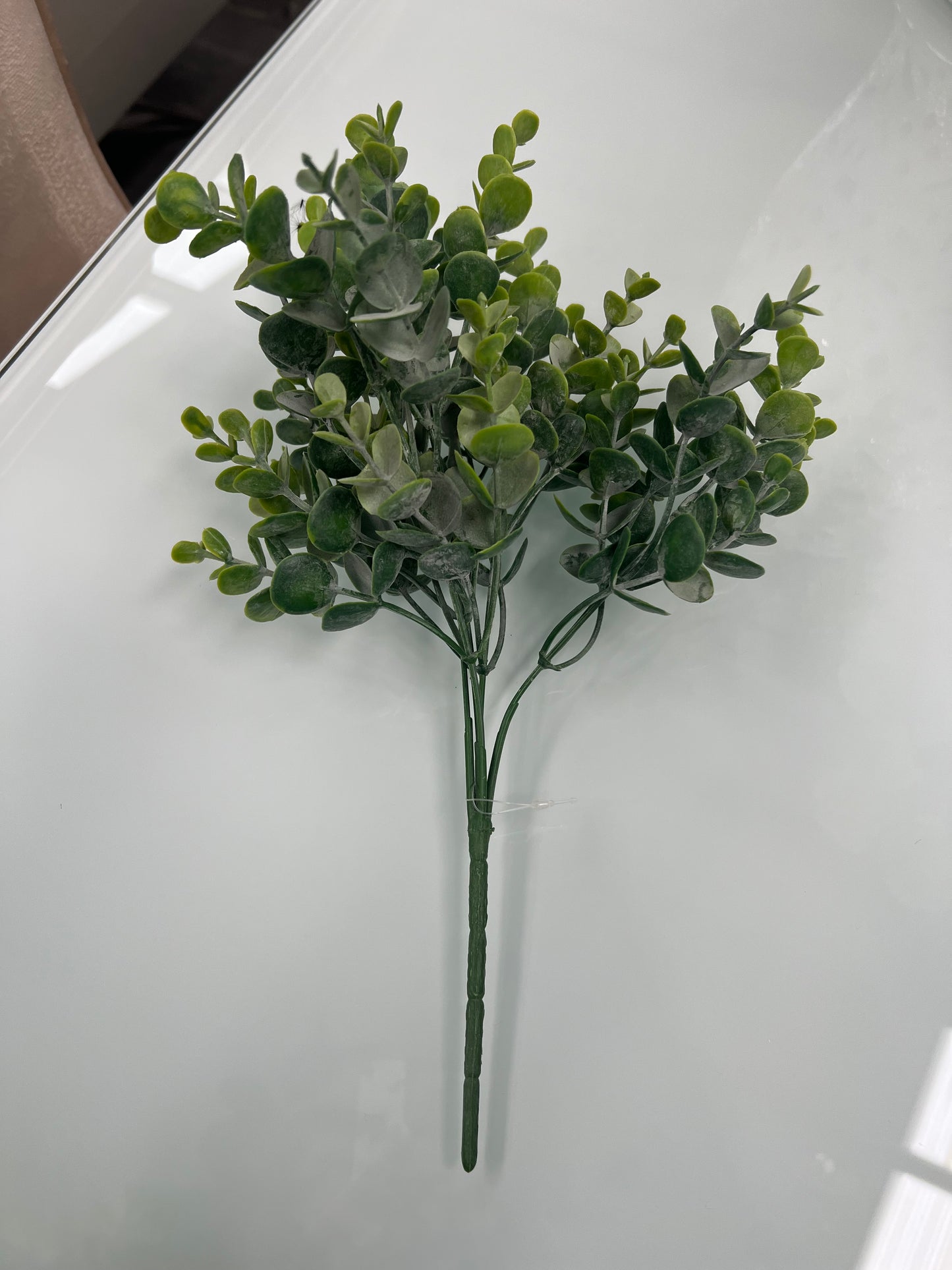 Leaf Spray Stems