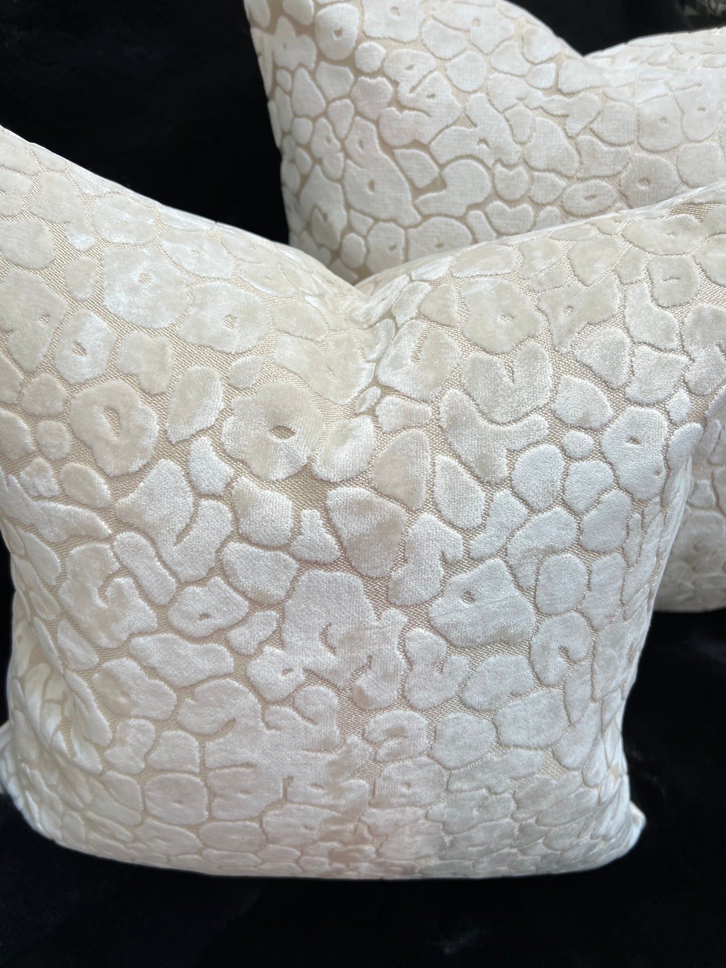 Paul Moneypenny Spoton Cream Cushion