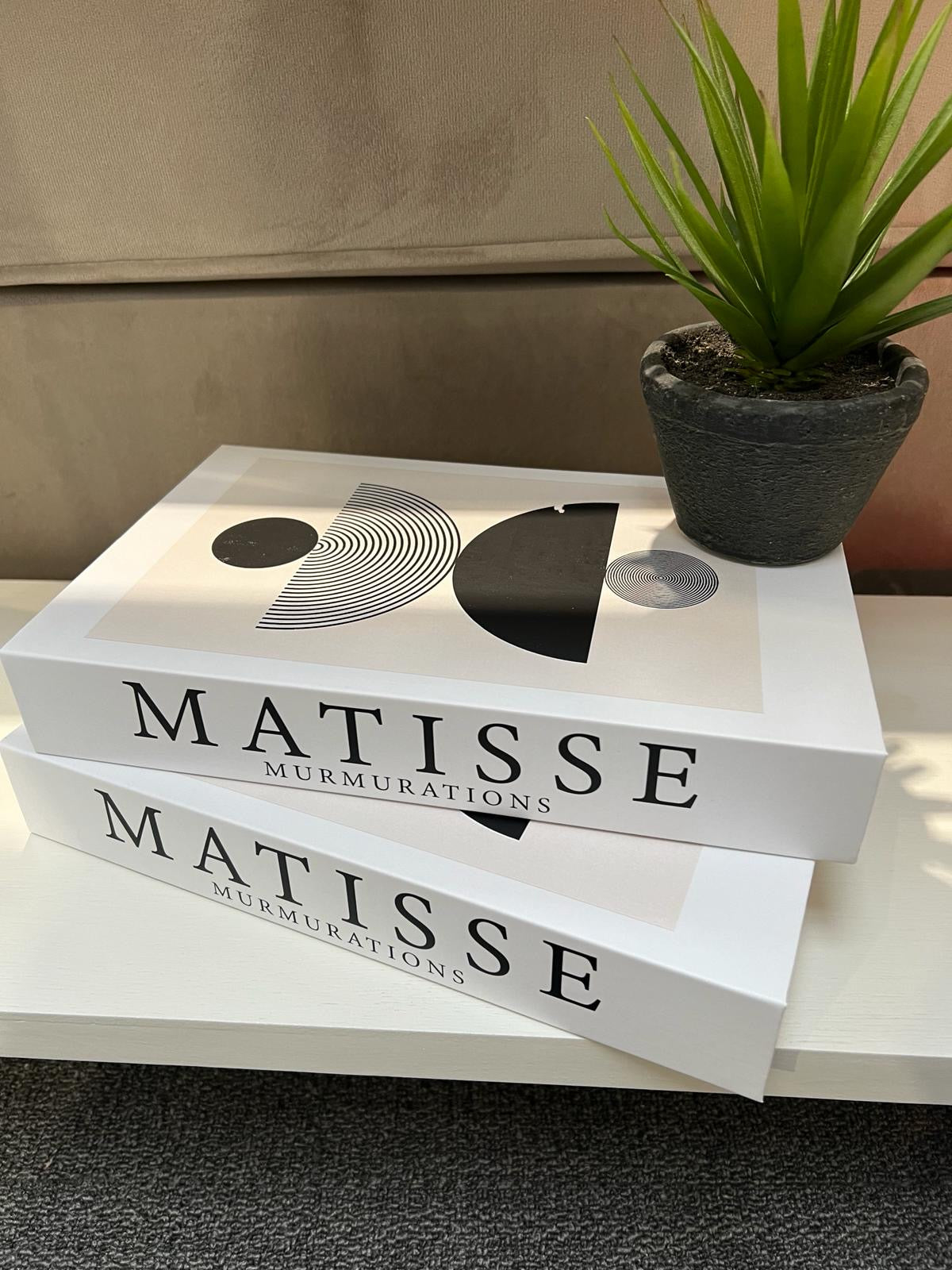 Matisse Storage Decor Book