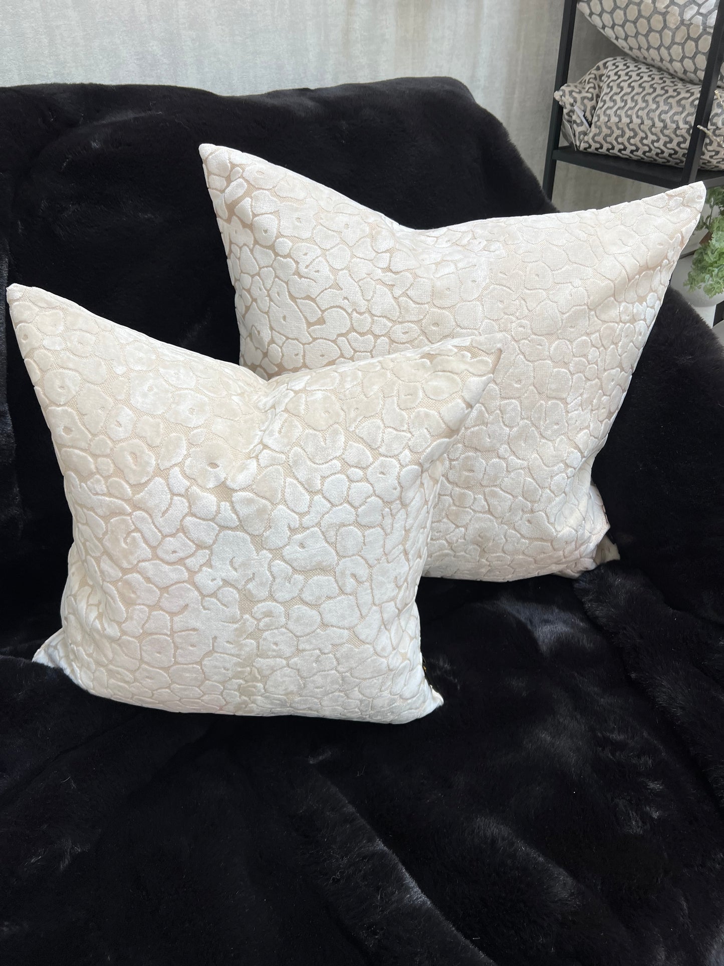 Paul Moneypenny Spoton Cream Cushion