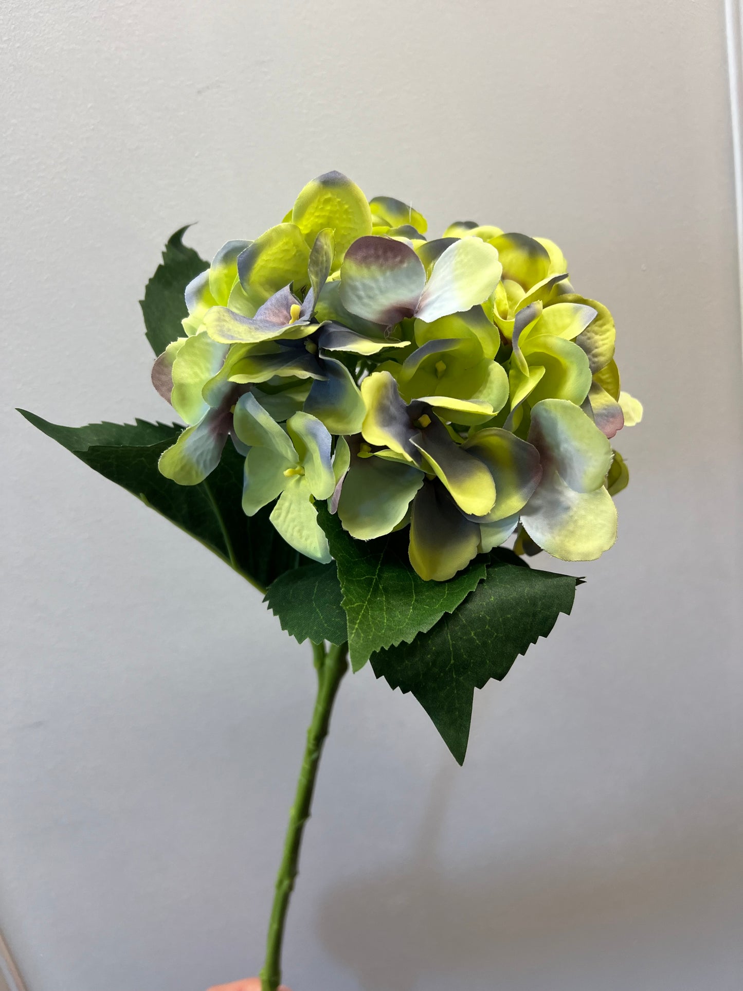 51cm Single Large Hydrangea Green