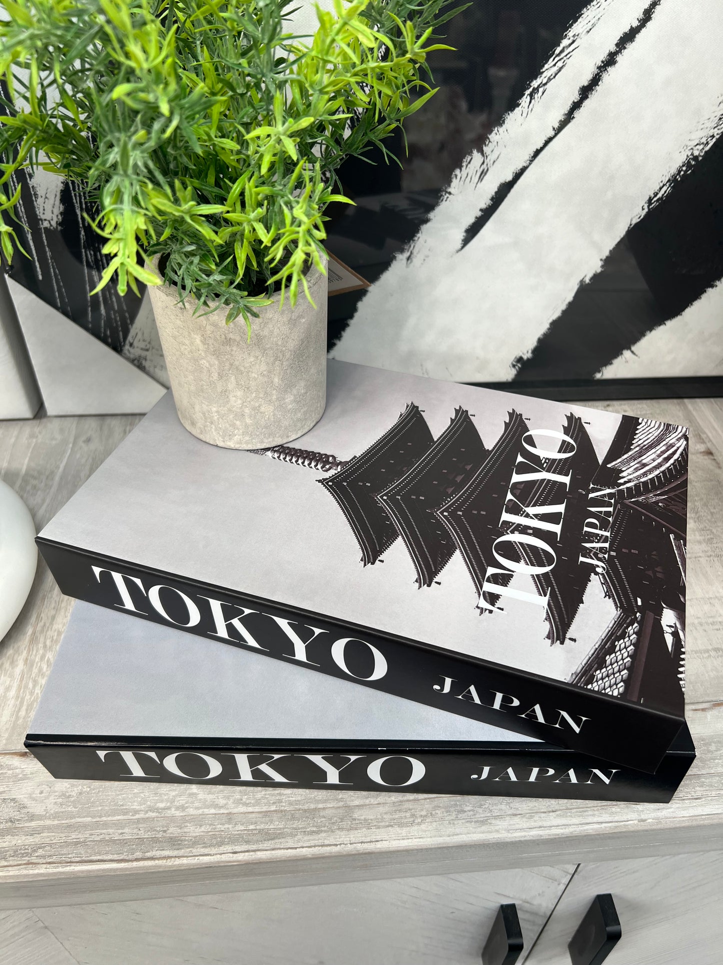 Tokyo Decor Book