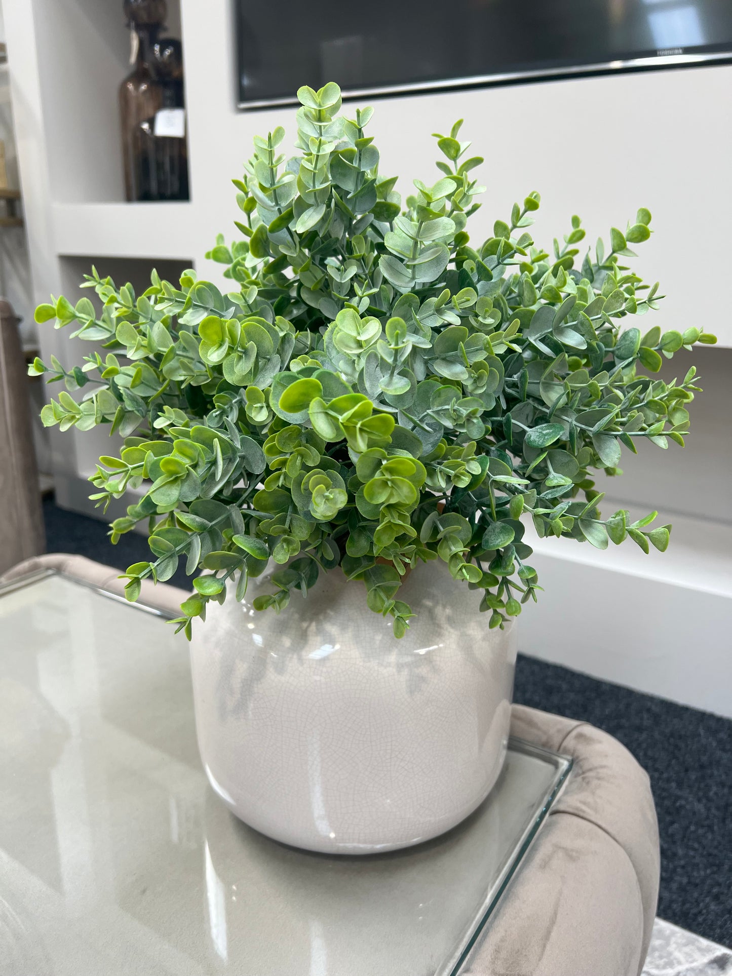 Leaf Spray Stems