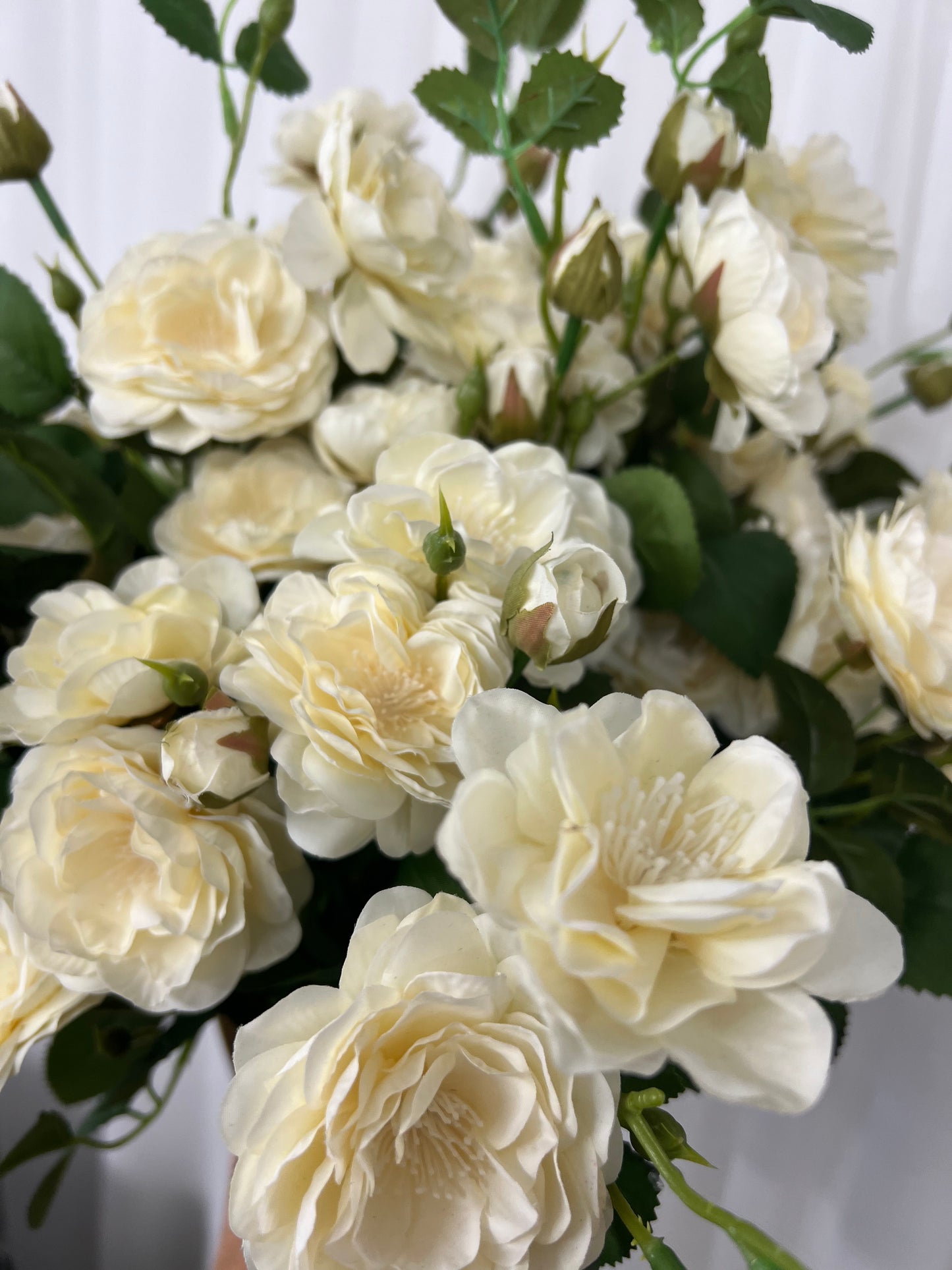 Soft White Cottage Rose Stem