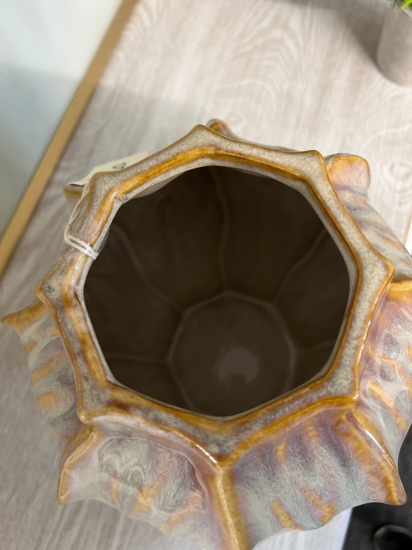 Sabbia Collection Squat Seed Pod Vase