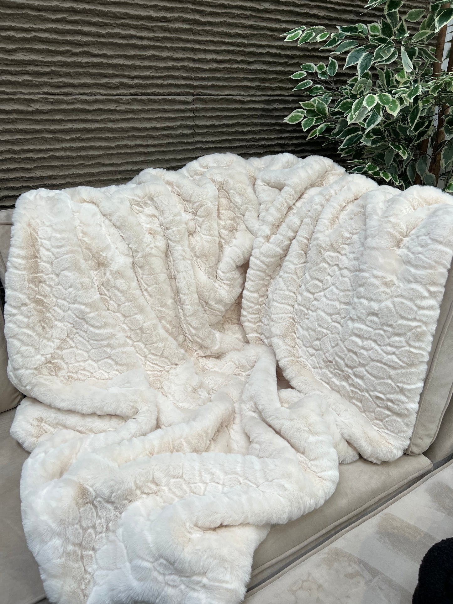 Camberwell Ivory Throw