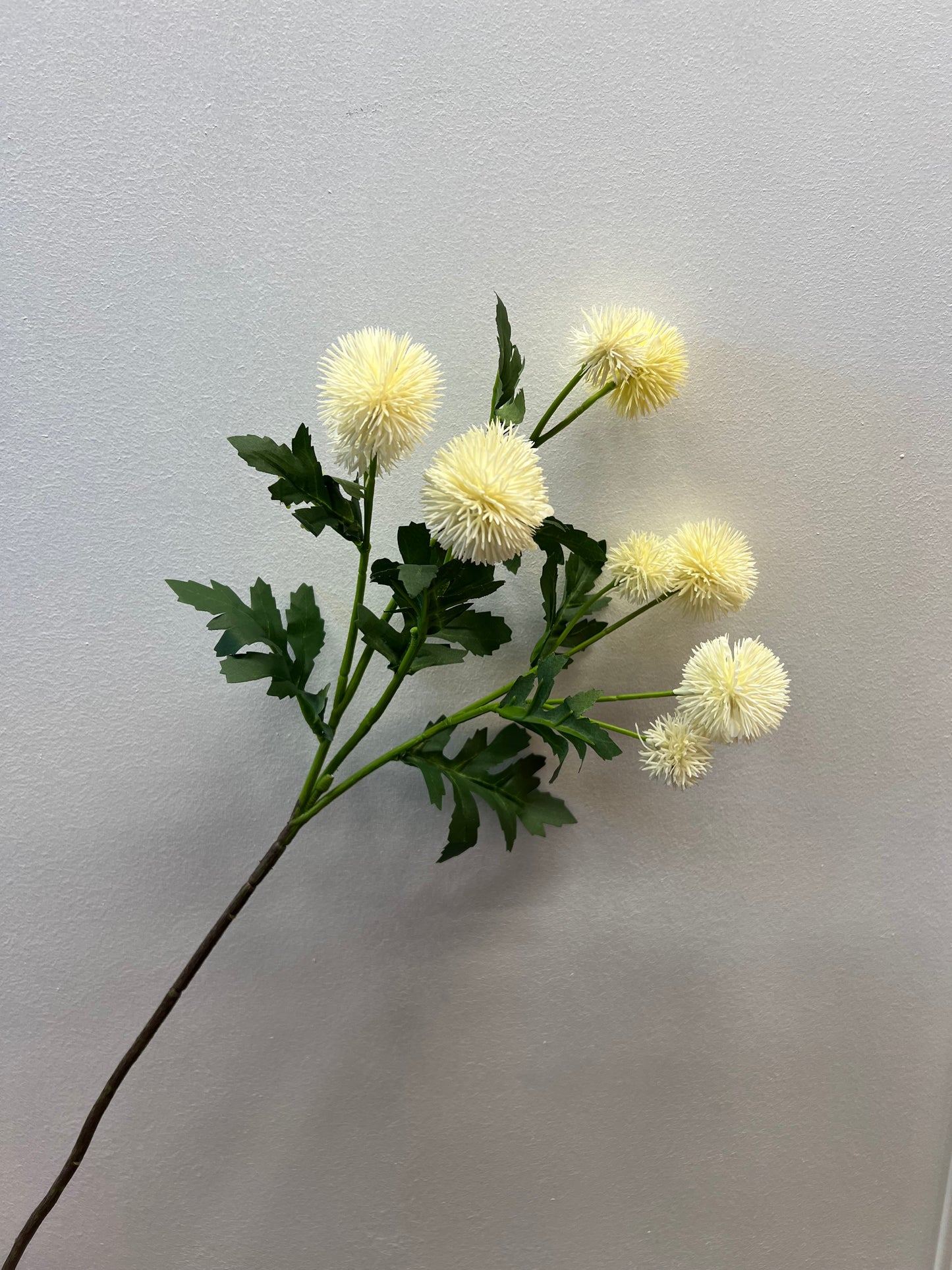 56cm PomPom Dahlia Spray Ivory