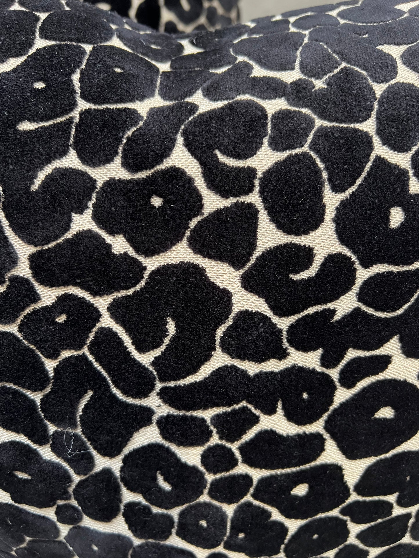 Paul Moneypenny Spoton Black Cushion