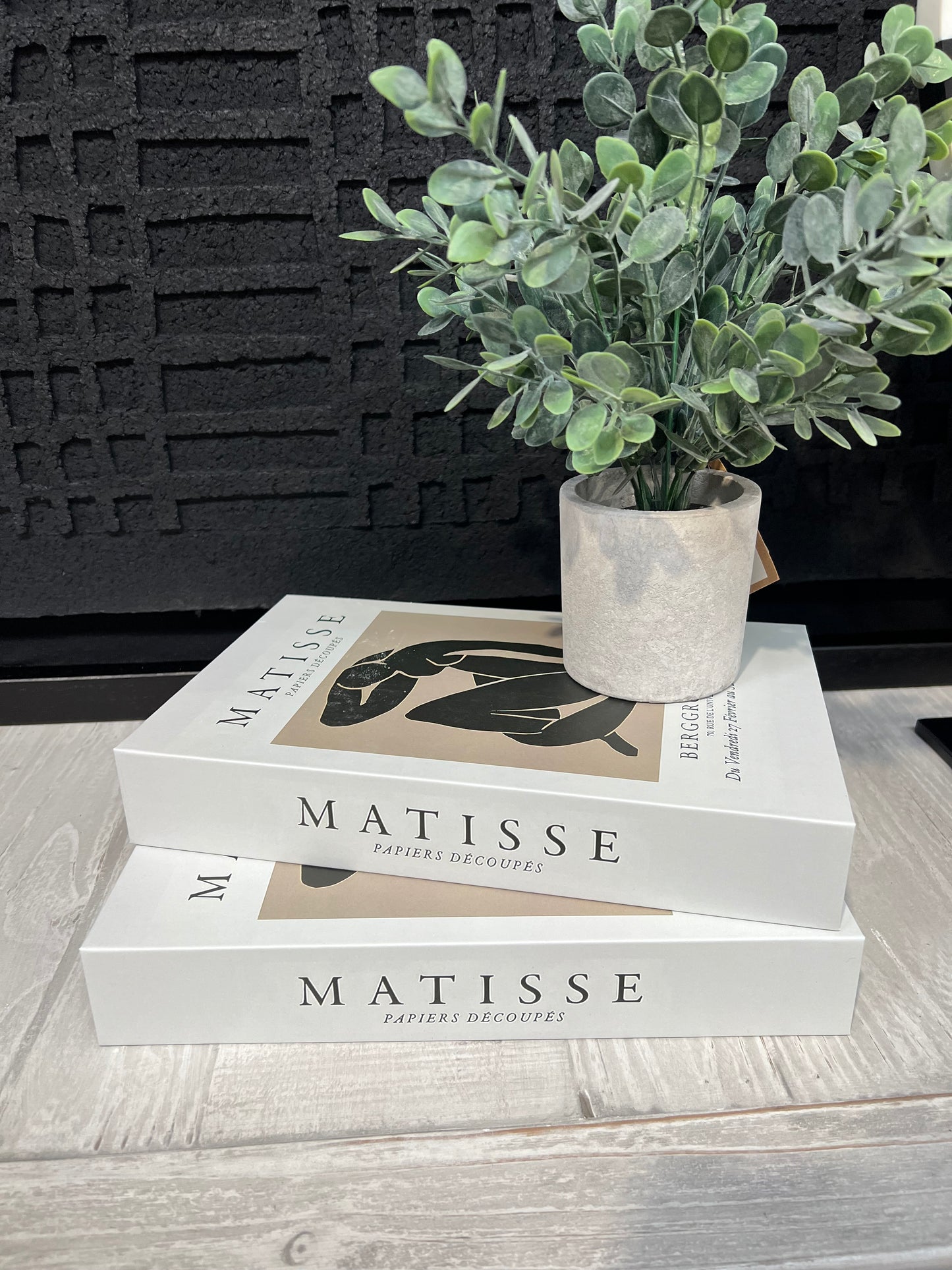 Matisse Storage Book