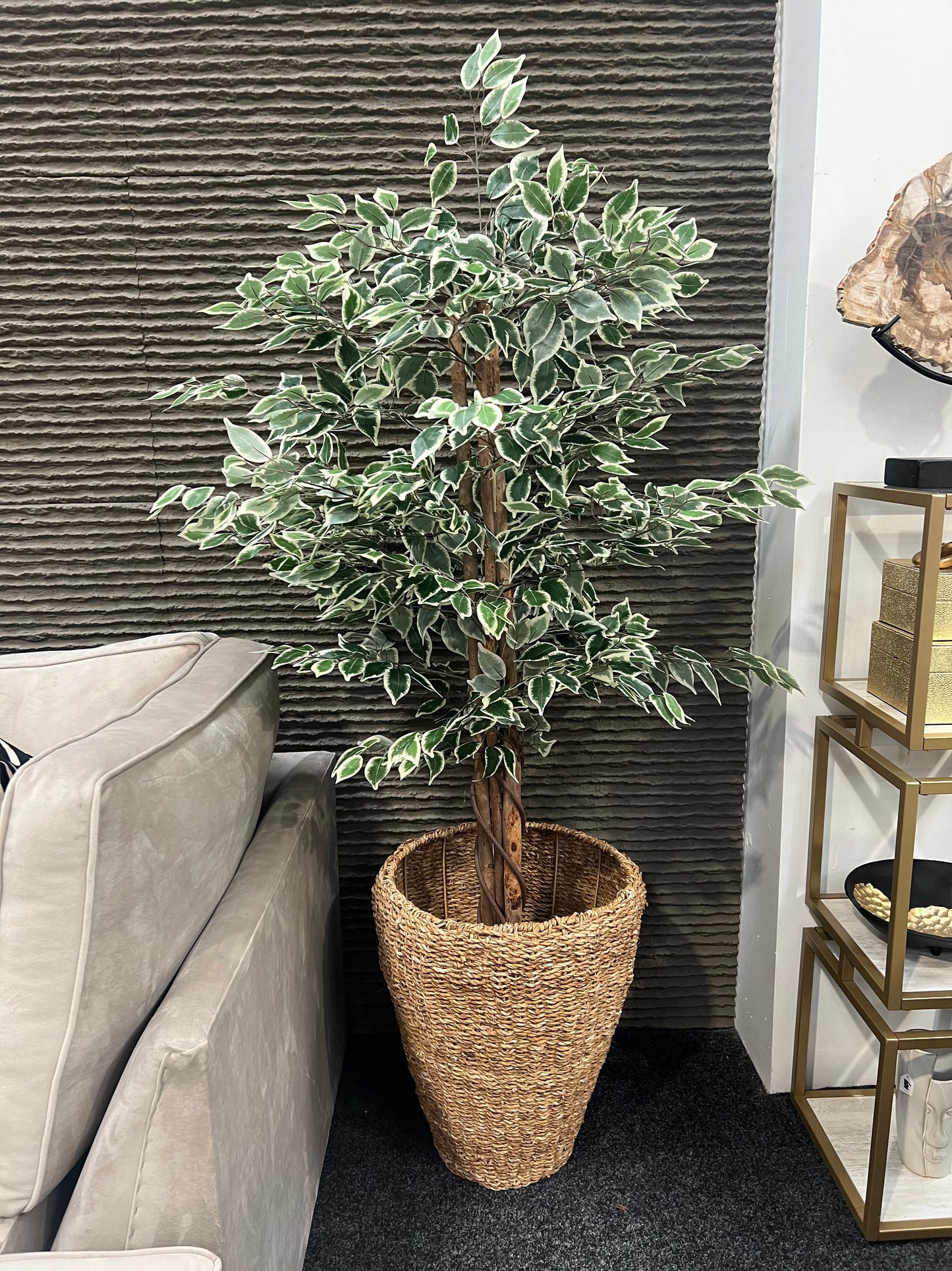 Variegated Green Artificial Fiscus Tree - 6ft