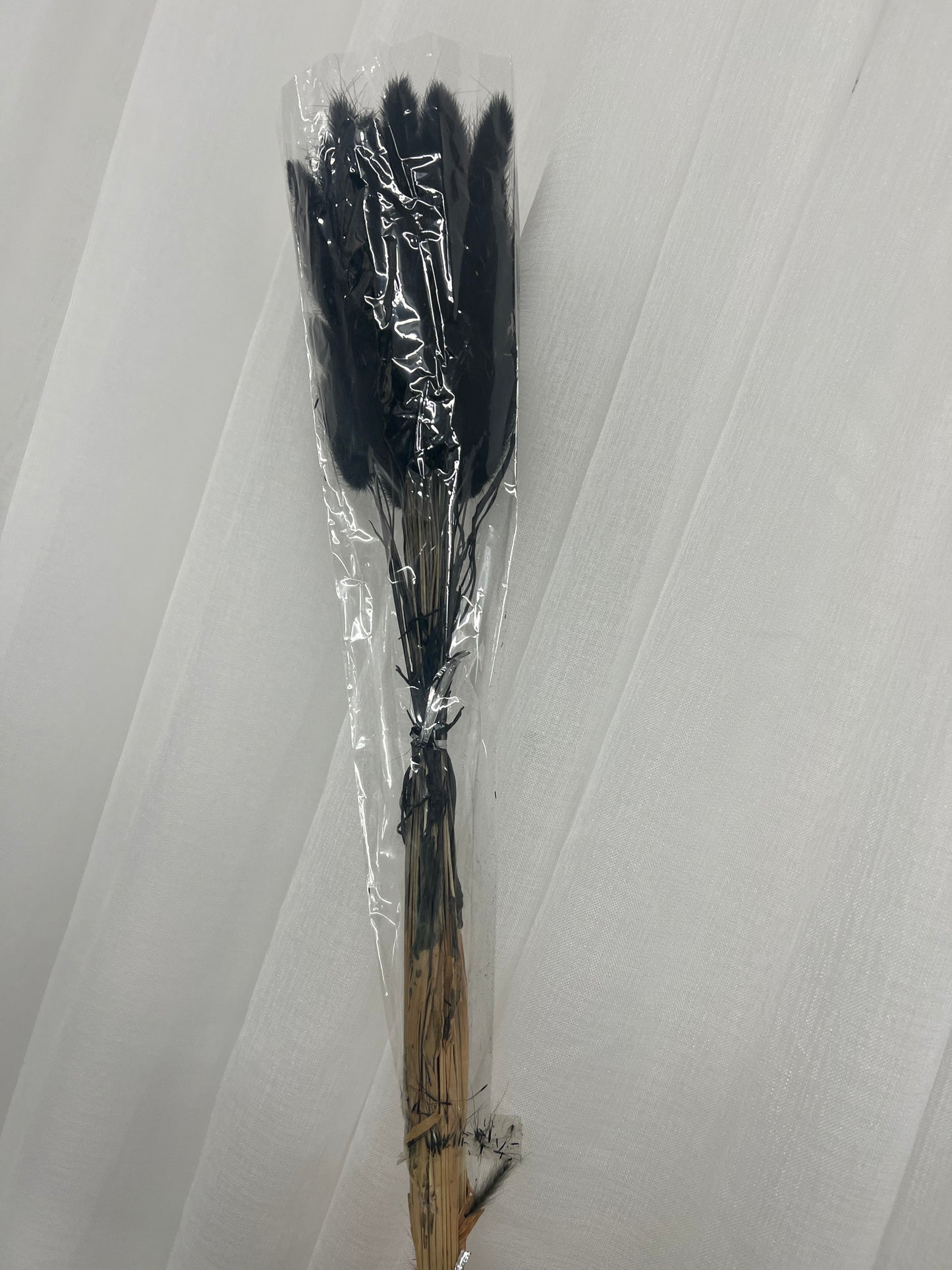 Bunny Pampas Tails