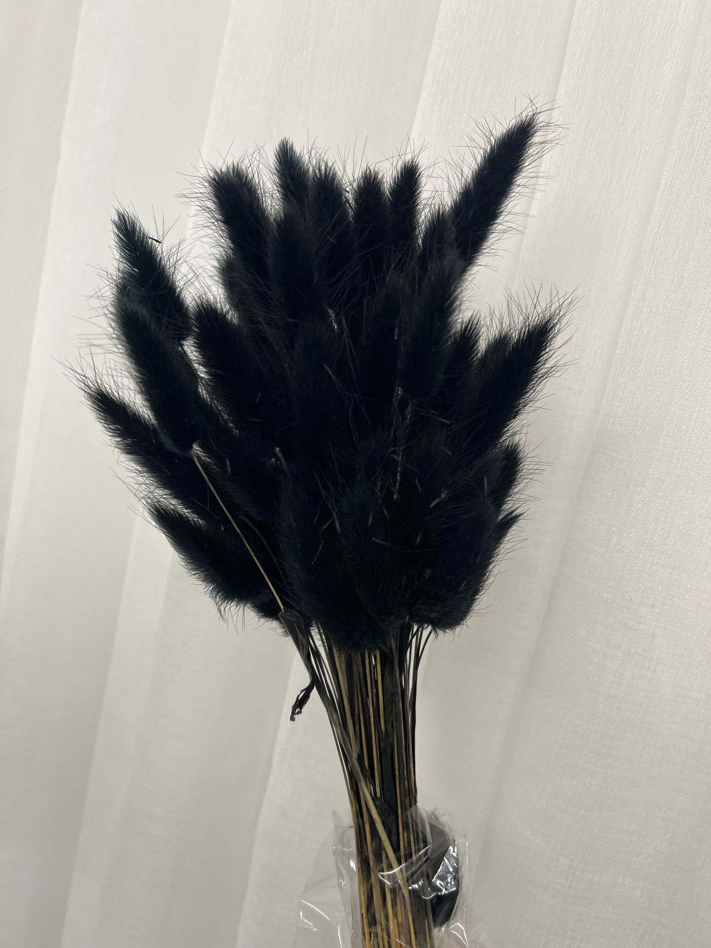 Bunny Pampas Tails x3 PKTS