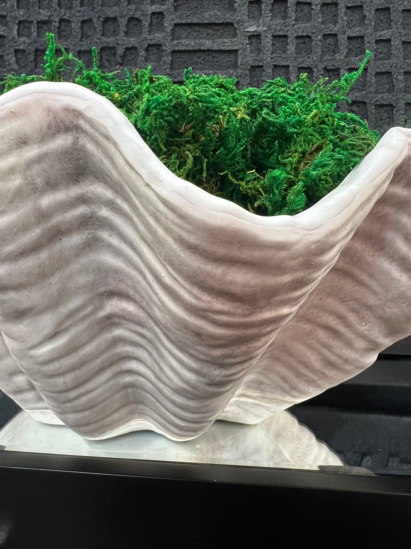 Rio Wave Ceramic Shell Bowl