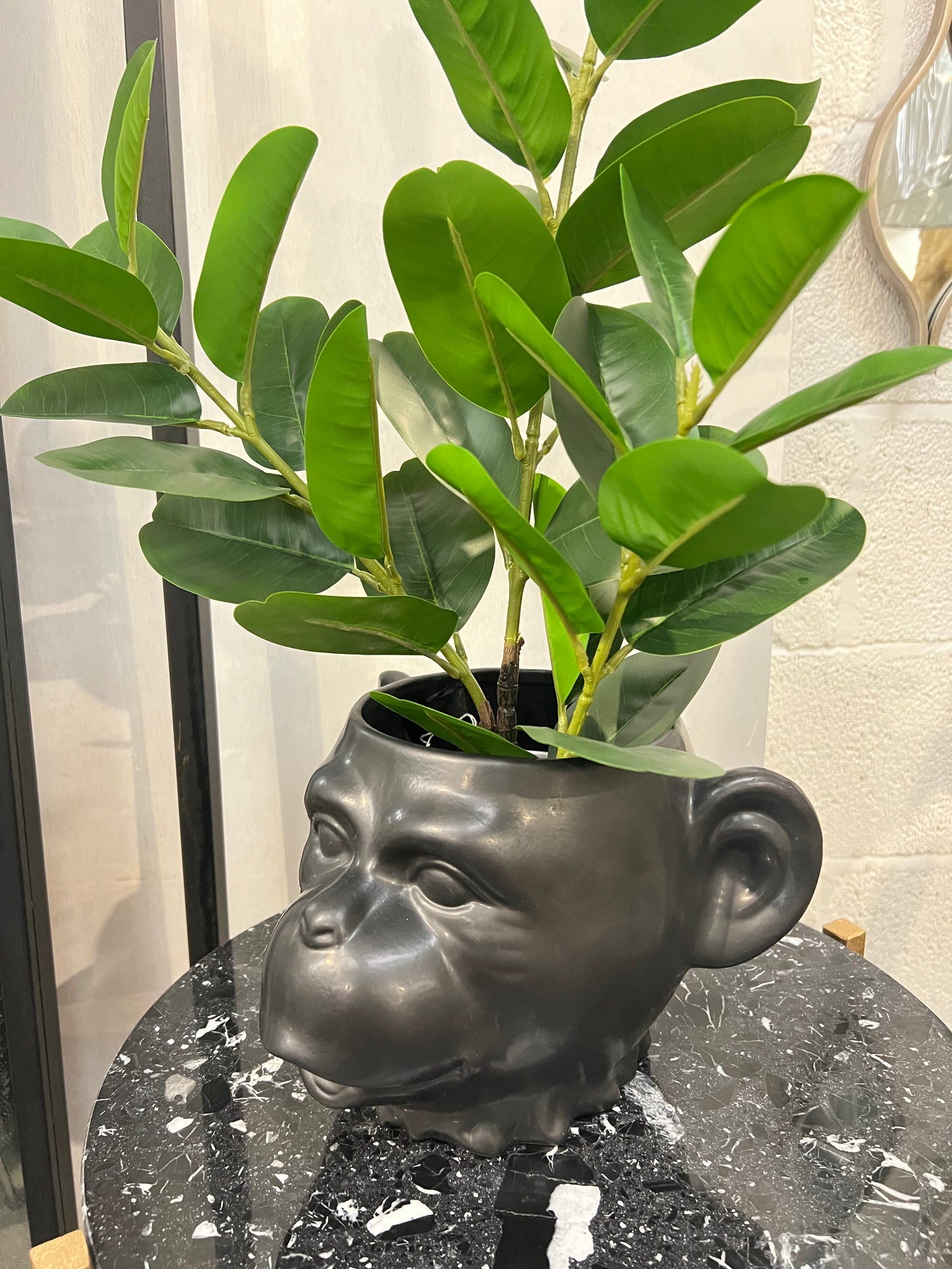 Monkey Head Planter White/ Black