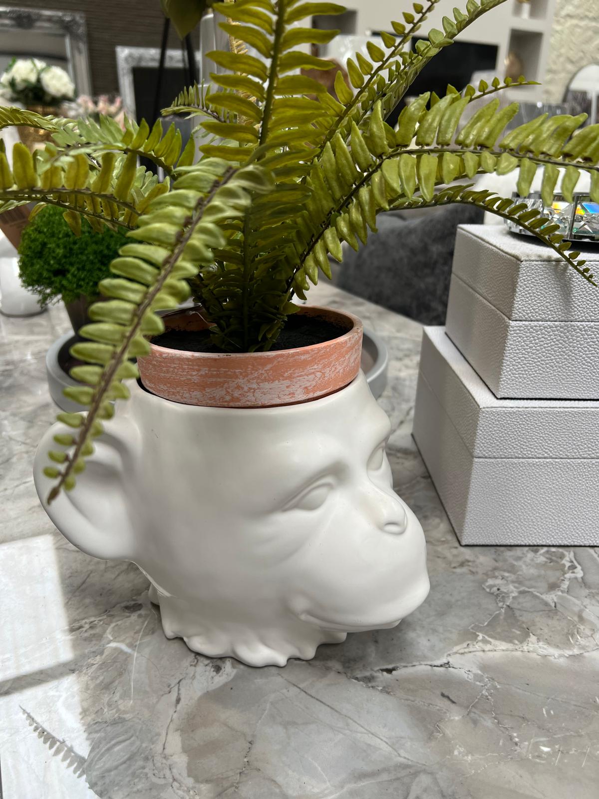Monkey Head Planter White/ Black