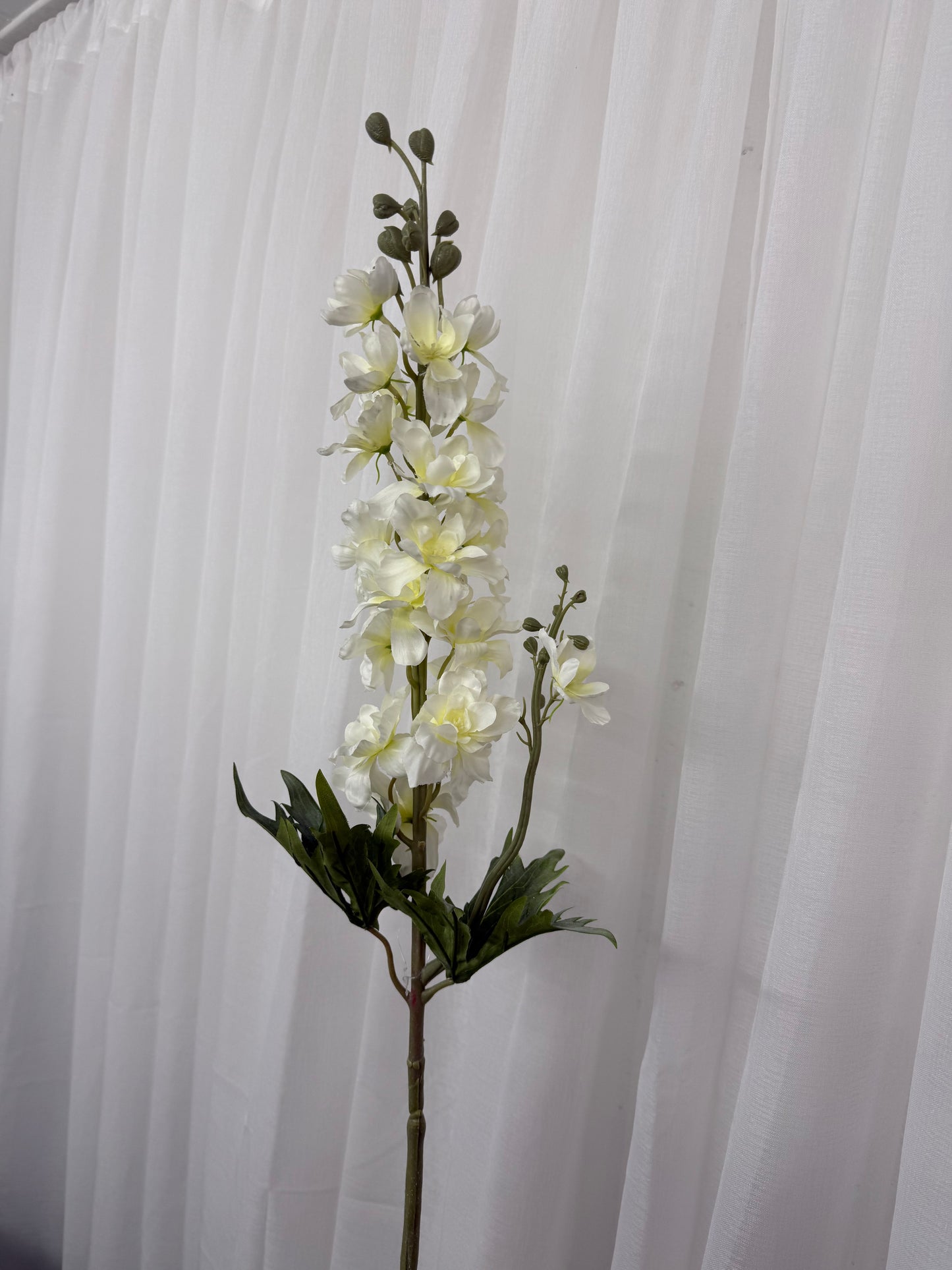 Tall White Delphinium Stem