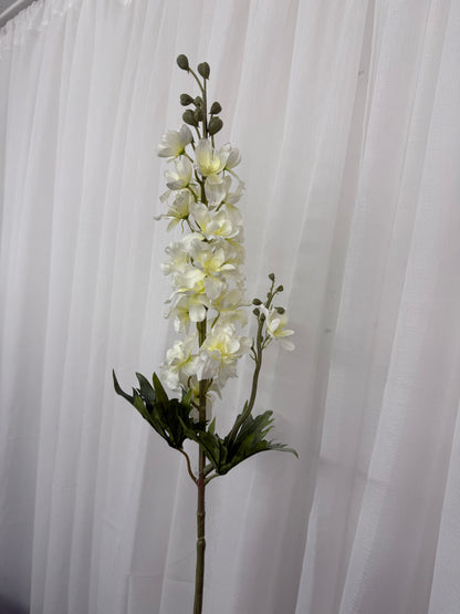 Tall White Delphinium Stem