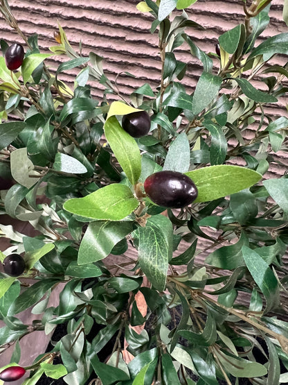 Artificial Olive Tree Plant - 4ft