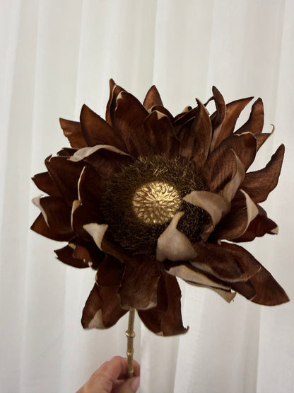 Carob Sunflower Stem