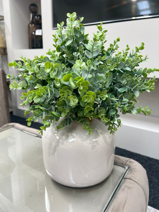 Leaf Spray Stems