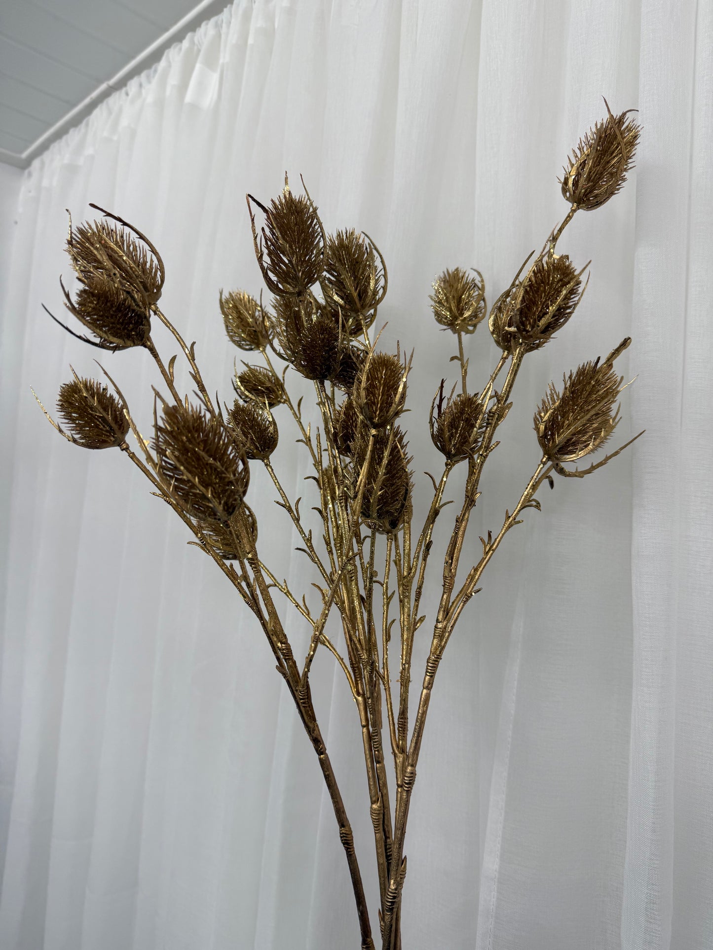 Eryngo Spray
