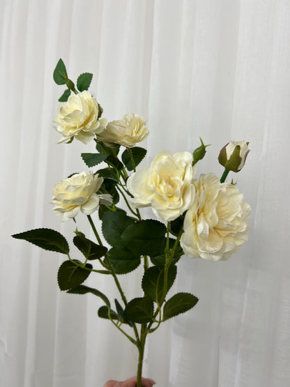 Soft White Cottage Rose Stem