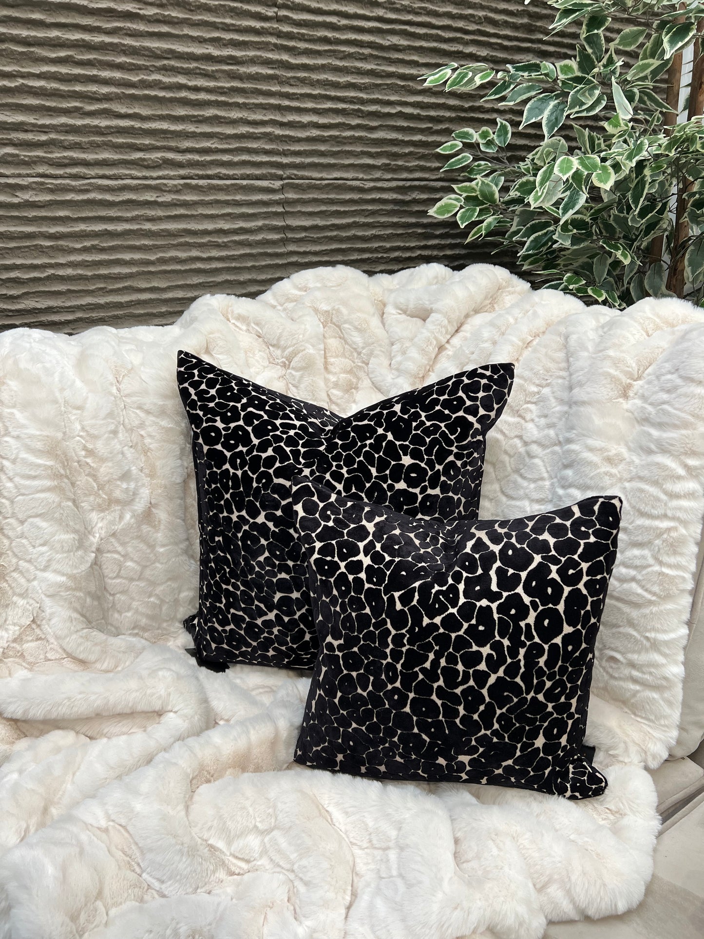Camberwell Ivory Throw