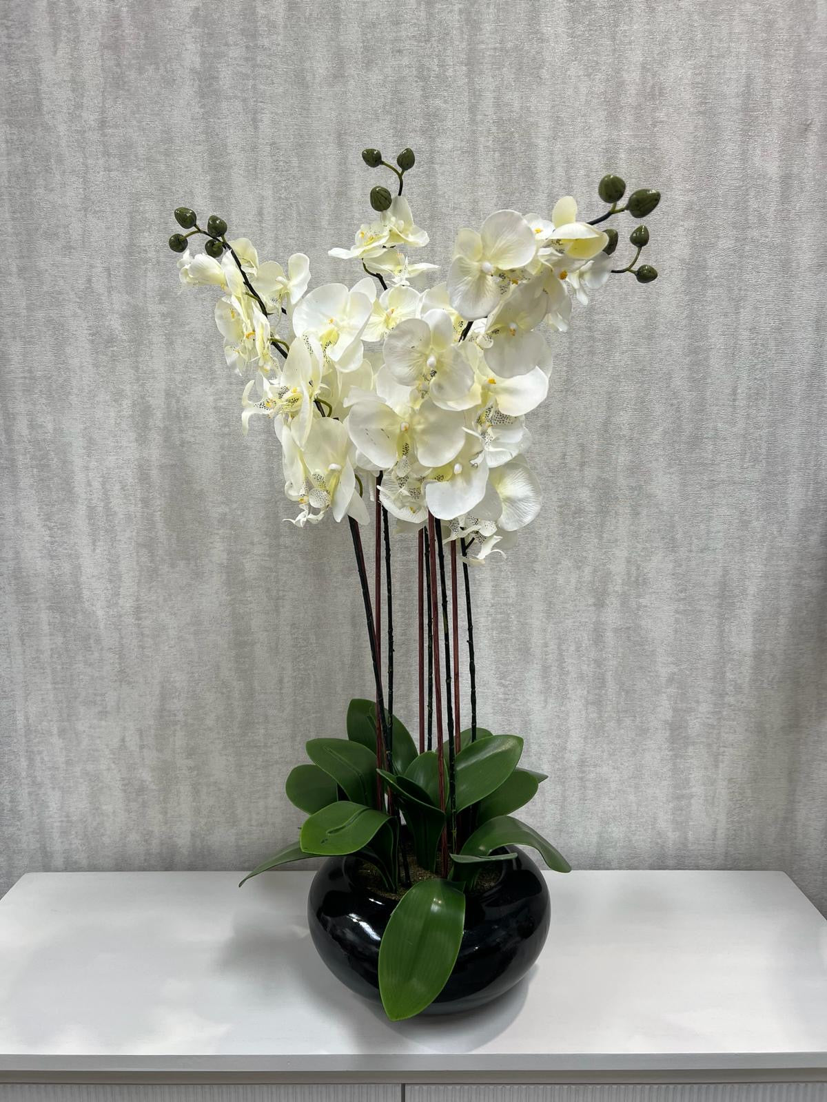 Large Oriental Style Cream Orchids in Black Bowl