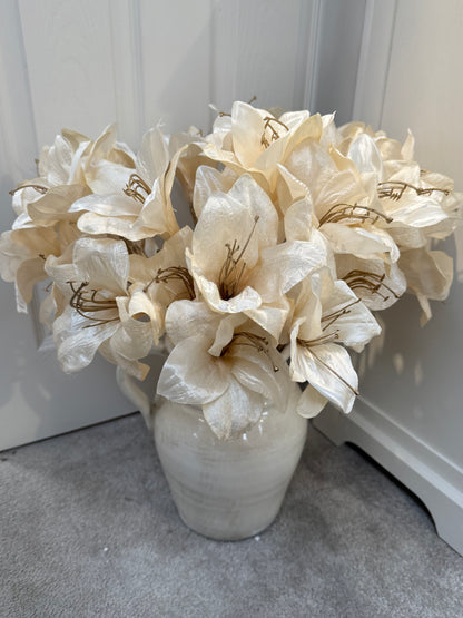 Ivory Amaryllis Stem