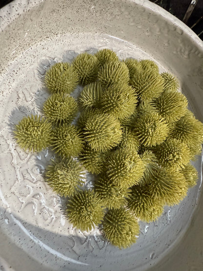 Green Echinops Balls - 24