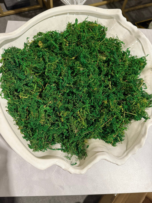Bag of Real Natural Moss