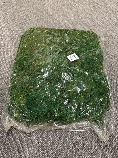 Bag of Real Natural Moss